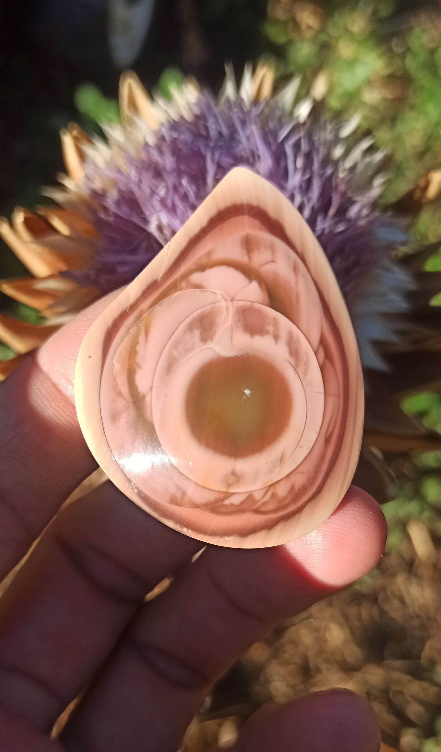 Cabochon Jaspe Royal Impérial ~ Mexique