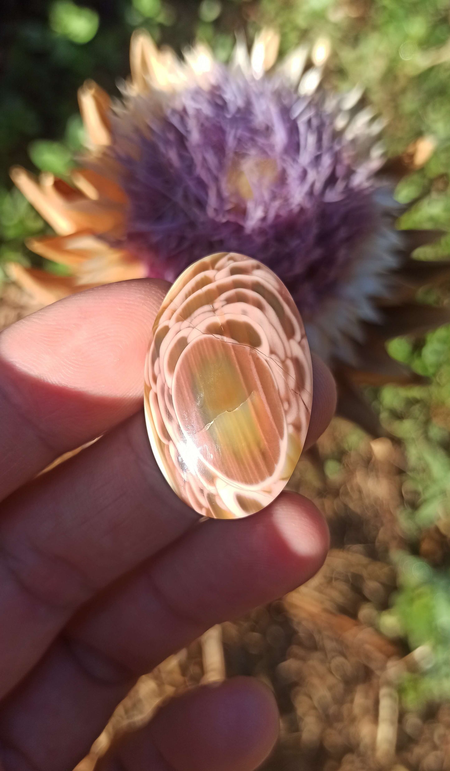 Cabochon Jaspe Royal Impérial ~ Mexique
