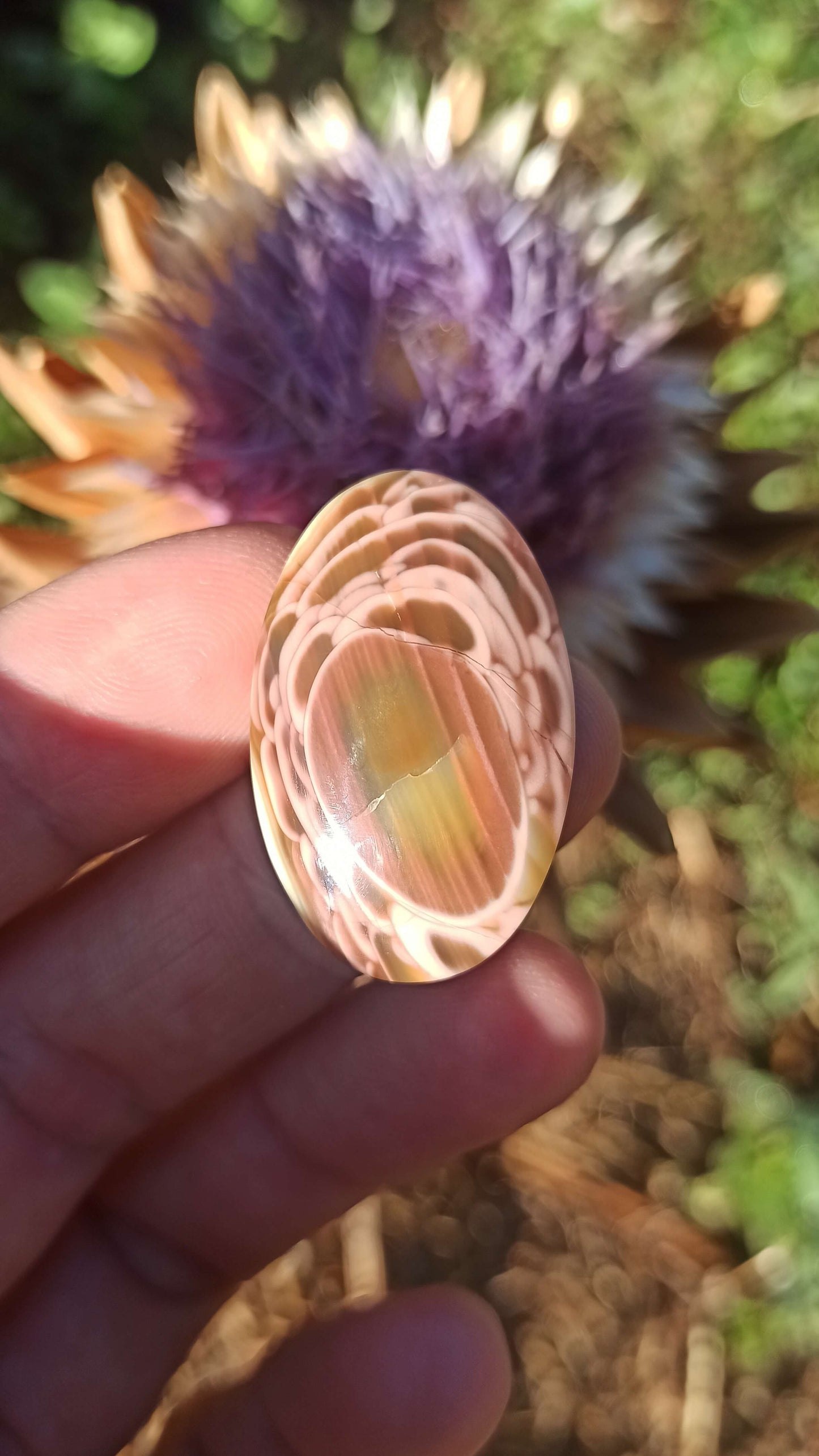 Cabochon Jaspe Royal Impérial ~ Mexique