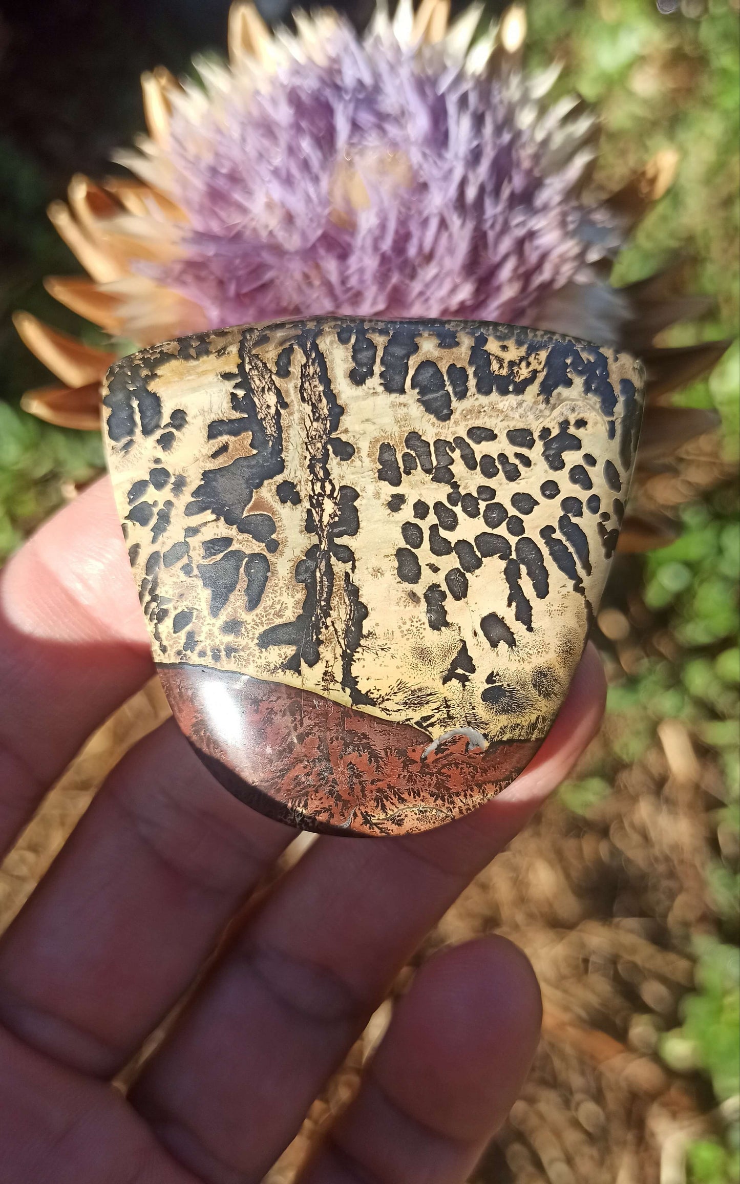 Cabochon xxl Jaspe Chohua ~ Chine 🇨🇳