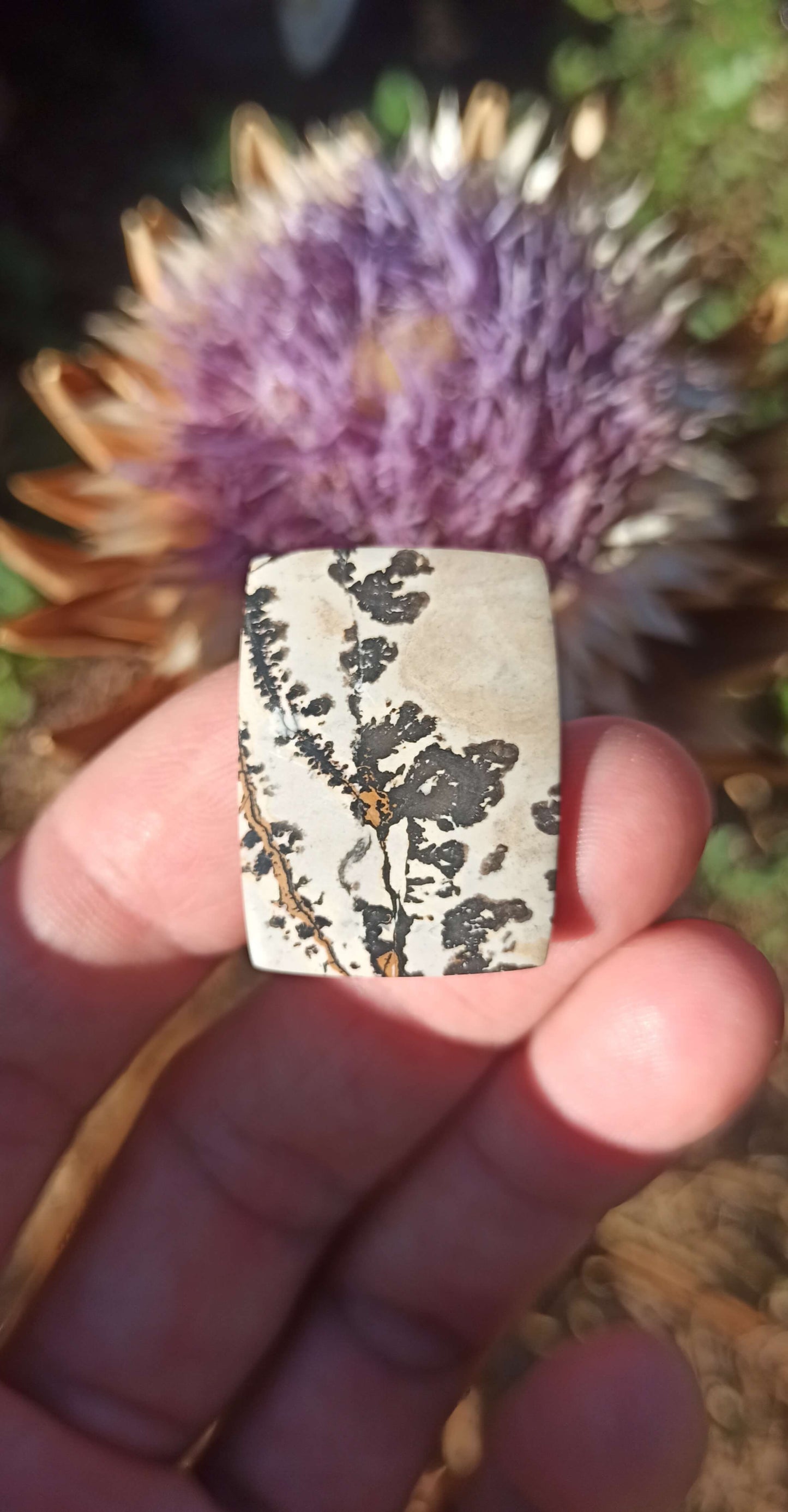 Cabochon Jaspe Dendritique ~ Indonésie 🌴