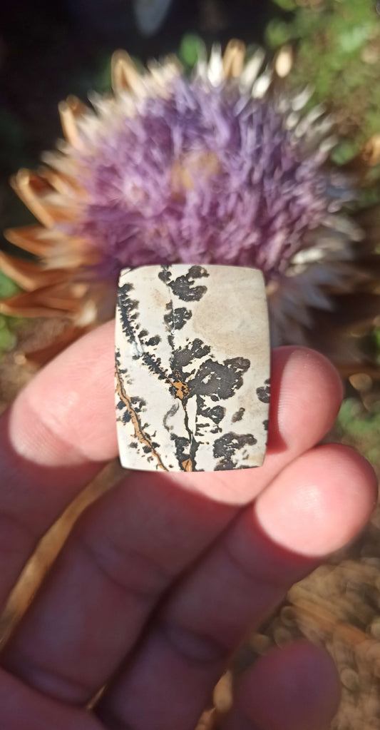 Cabochon Jaspe Dendritique ~ Indonésie 🌴