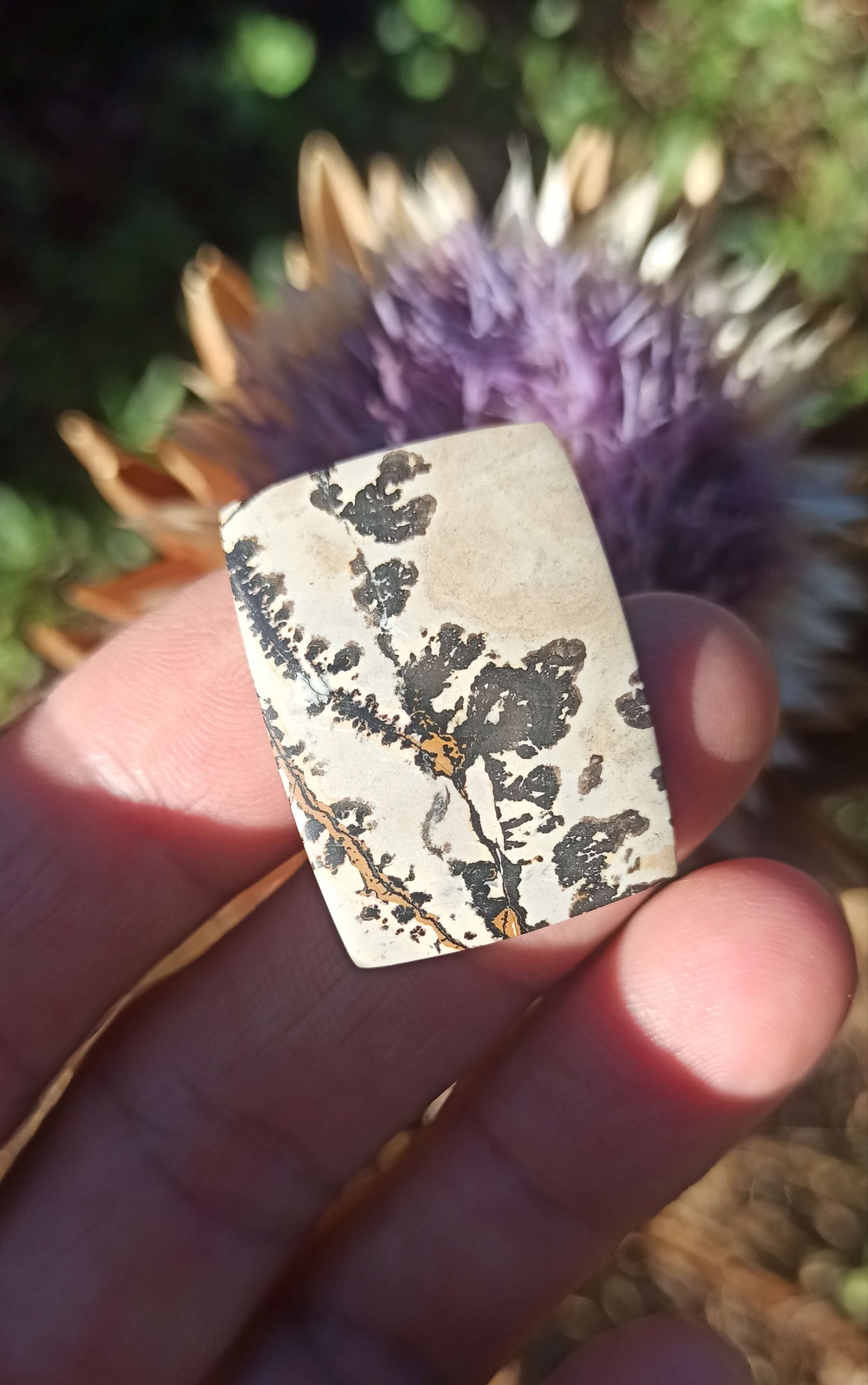 Cabochon Jaspe Dendritique ~ Indonésie 🌴