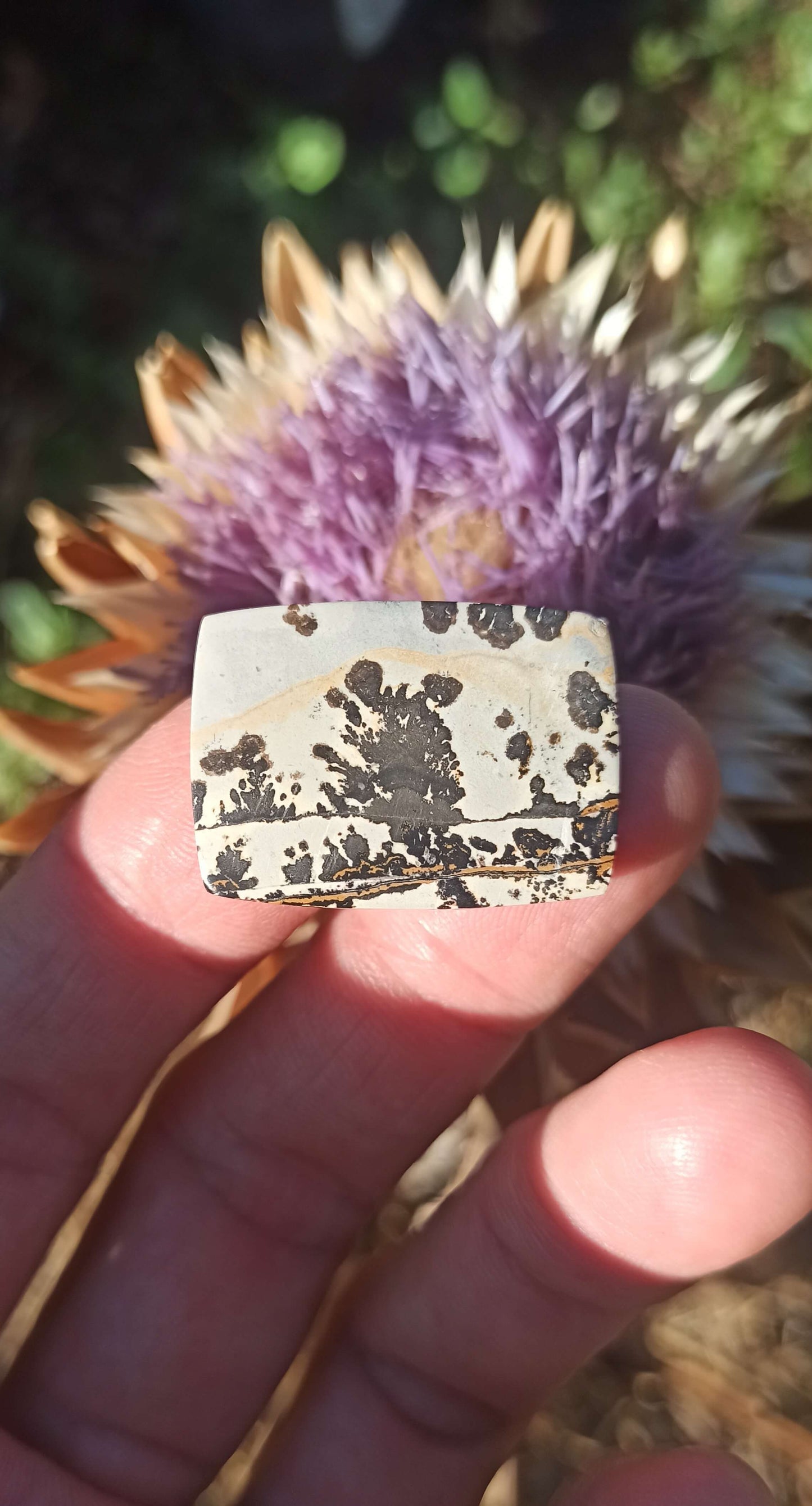 Cabochon Jaspe Dendritique ~ Indonésie 🌴