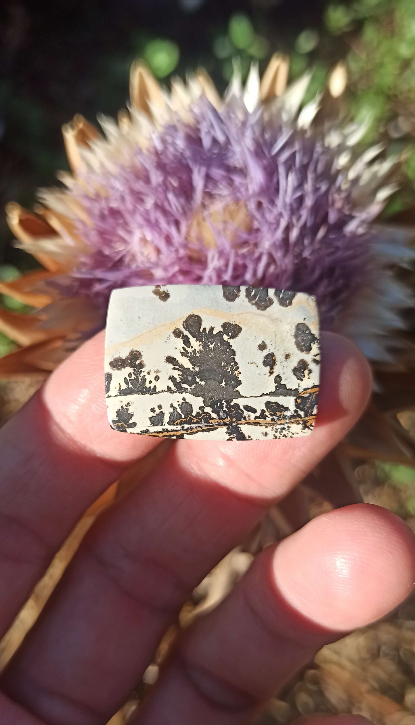 Cabochon Jaspe Dendritique ~ Indonésie 🌴