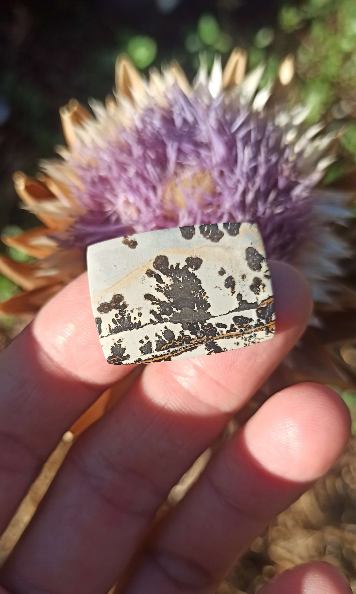 Cabochon Jaspe Dendritique ~ Indonésie 🌴