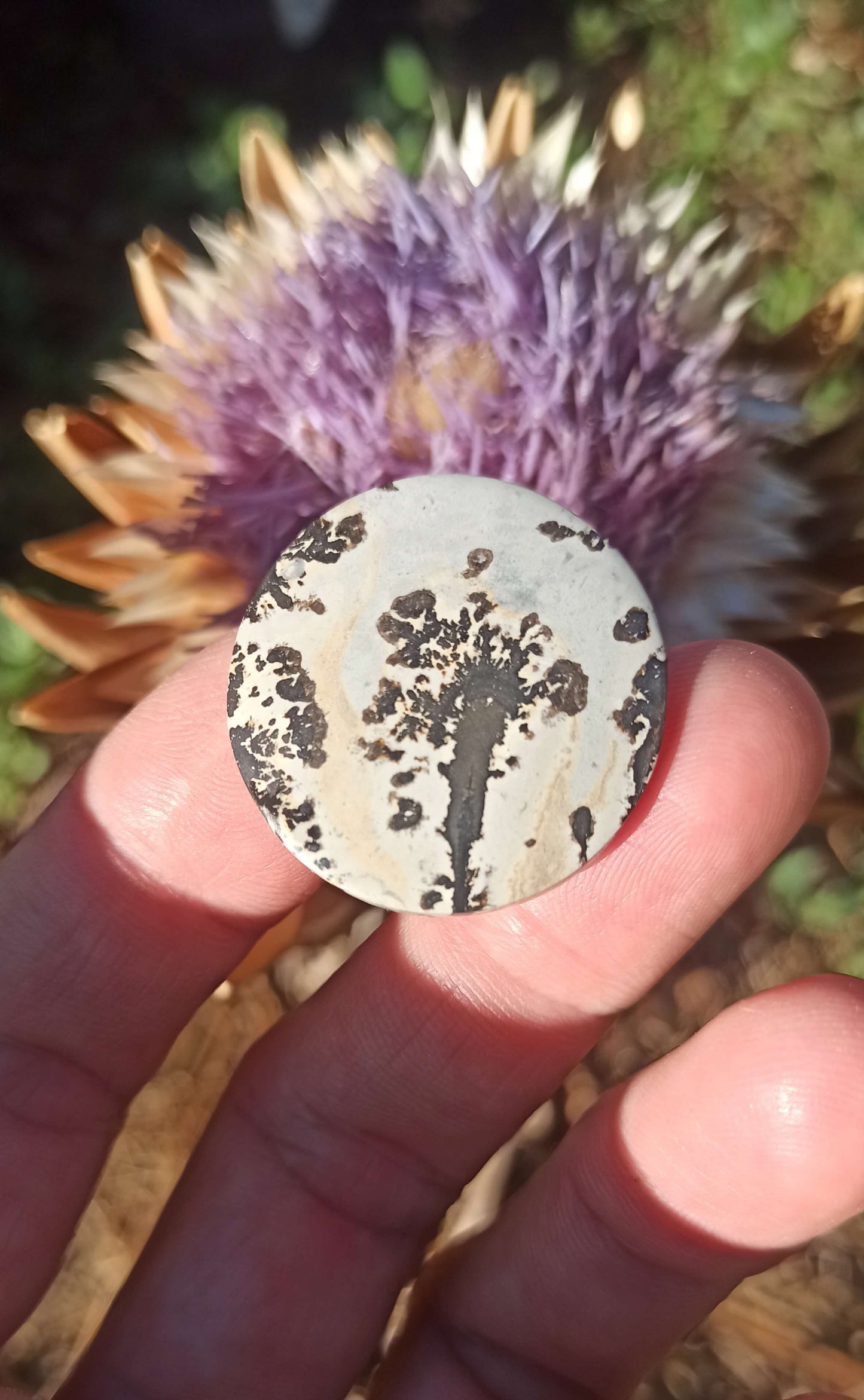 Cabochon Jaspe Dendritique ~ Indonésie 🌴