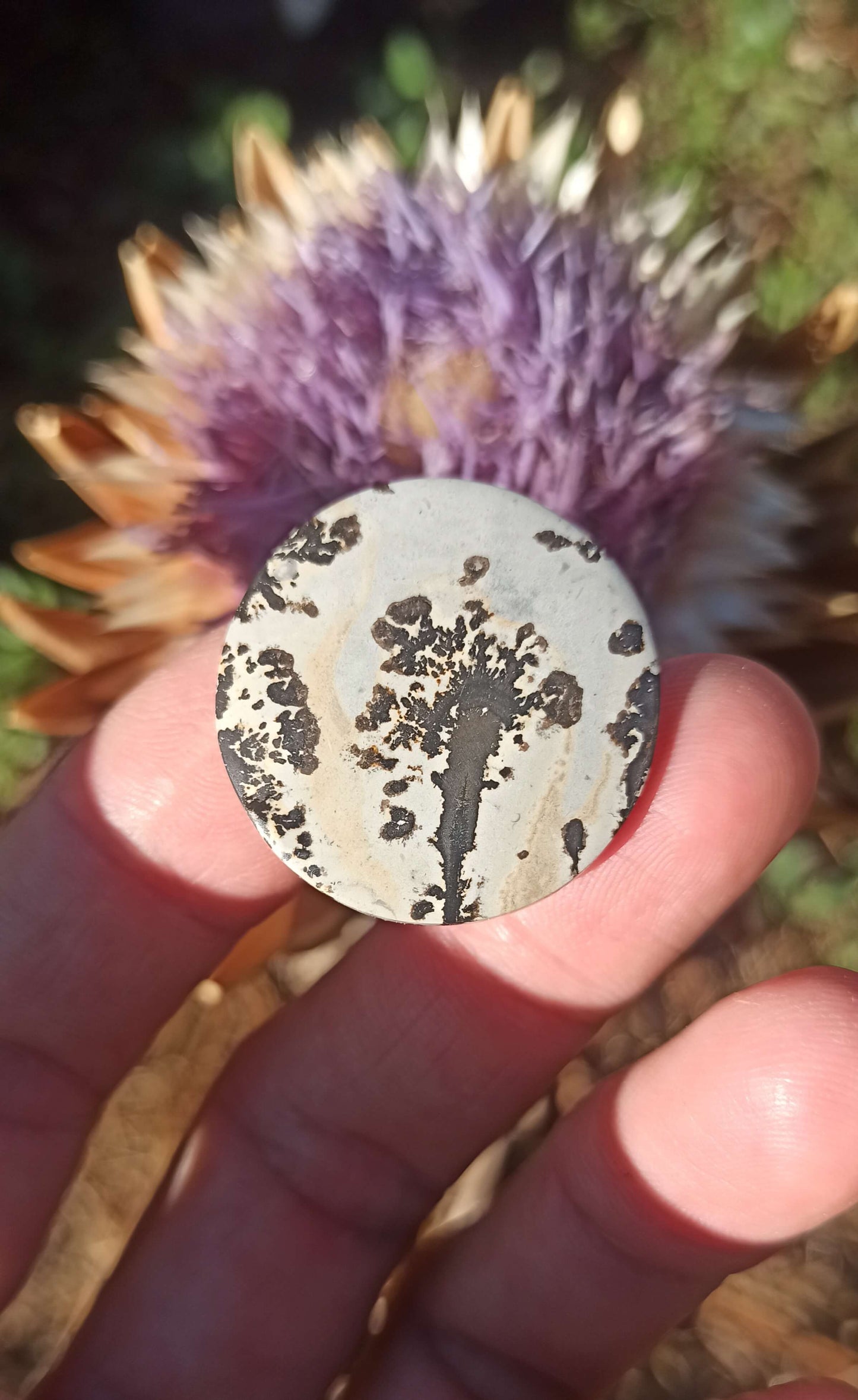 Cabochon Jaspe Dendritique ~ Indonésie 🌴