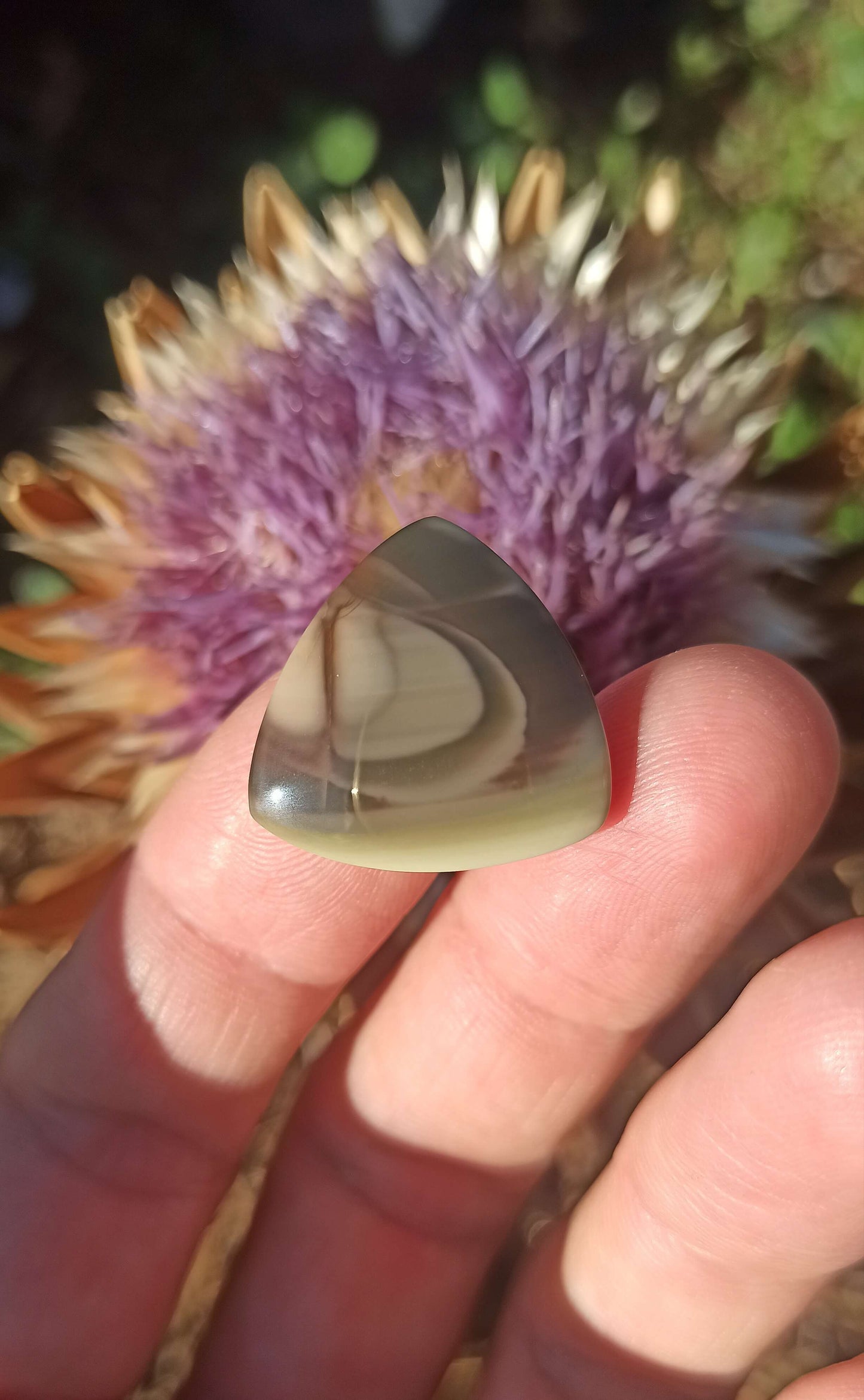 Cabochon Jaspe Royal Impérial ~ Mexique