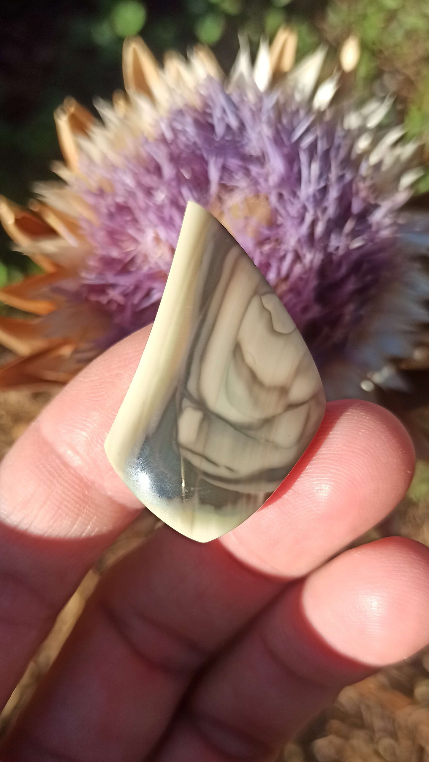Cabochon Jaspe Royal Impérial ~ Mexique