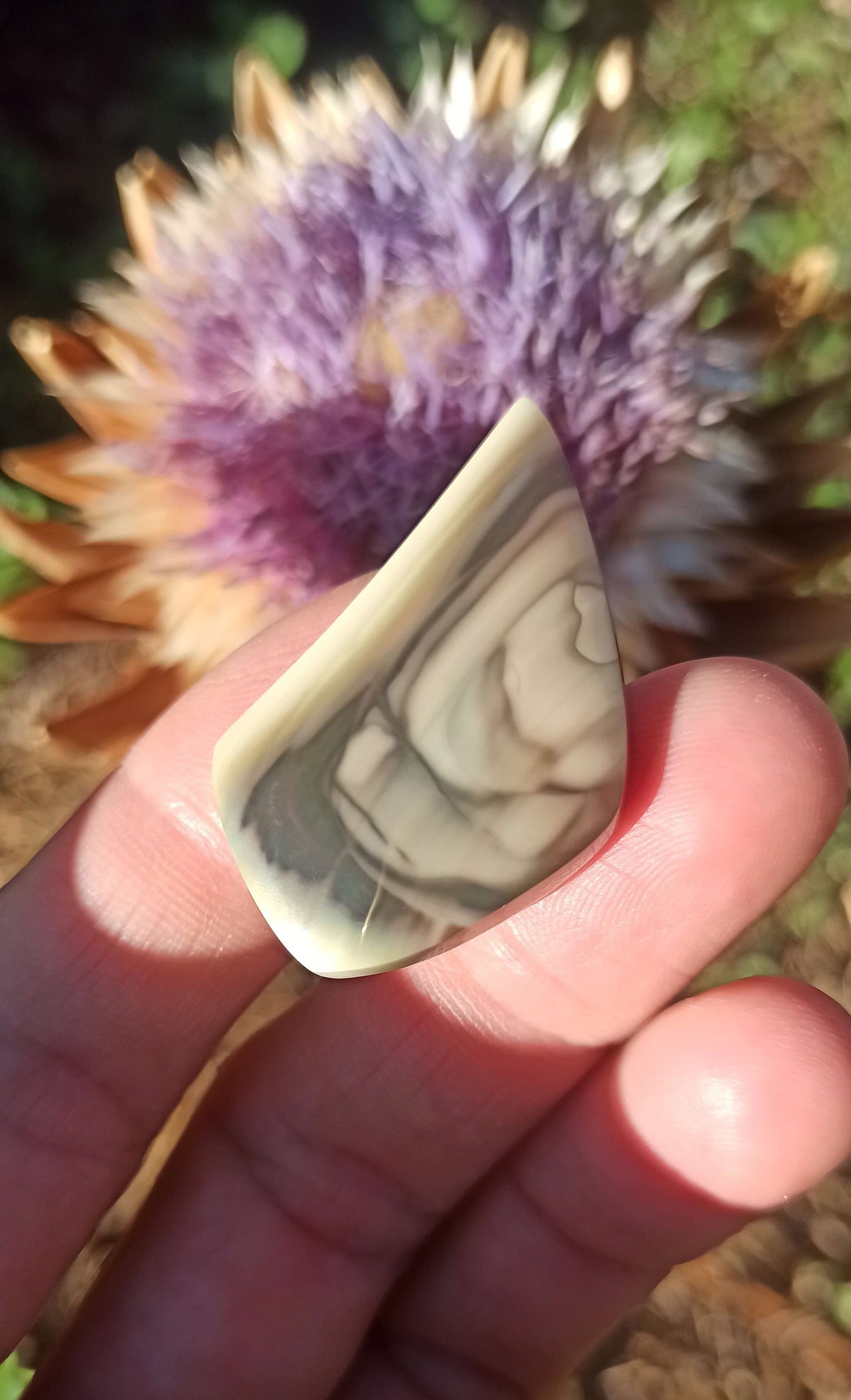 Cabochon Jaspe Royal Impérial ~ Mexique