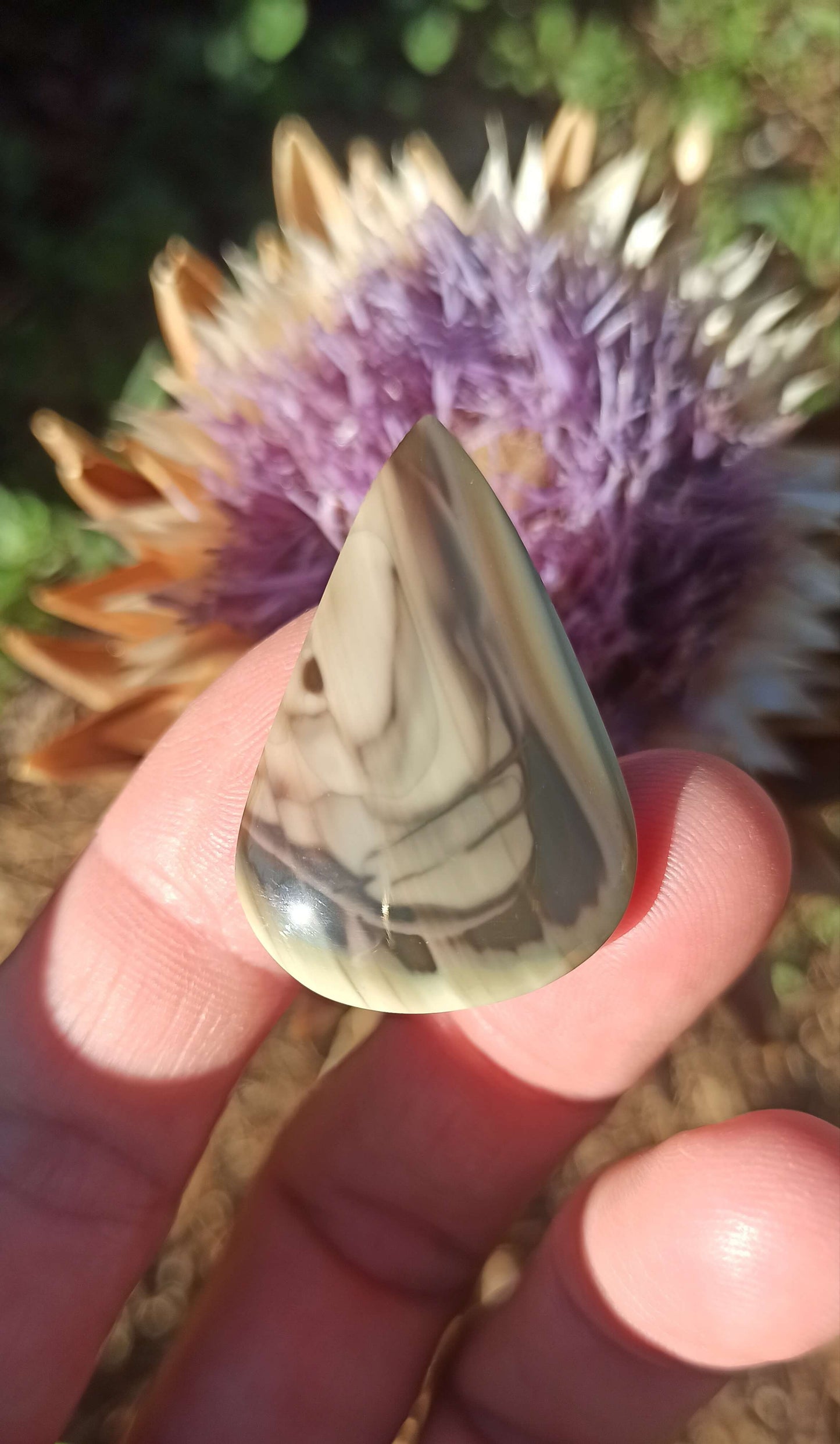 Cabochon Jaspe Royal Impérial ~ Mexique