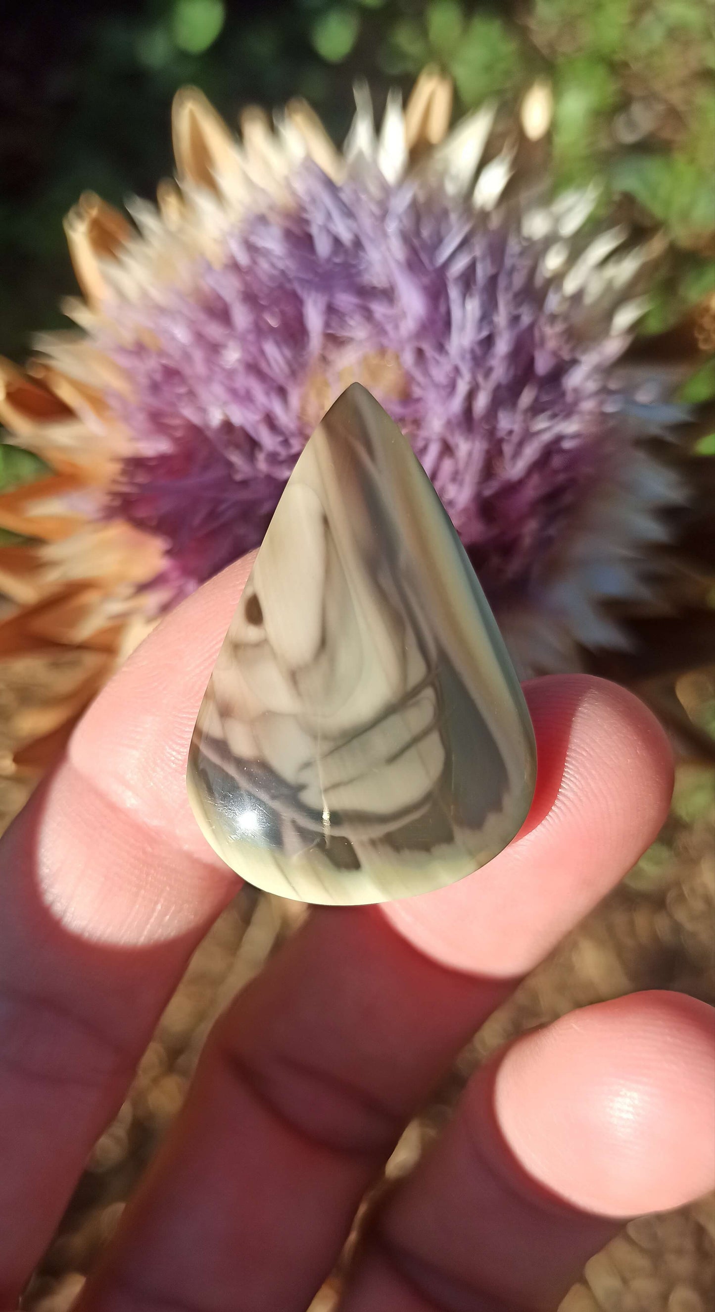 Cabochon Jaspe Royal Impérial ~ Mexique