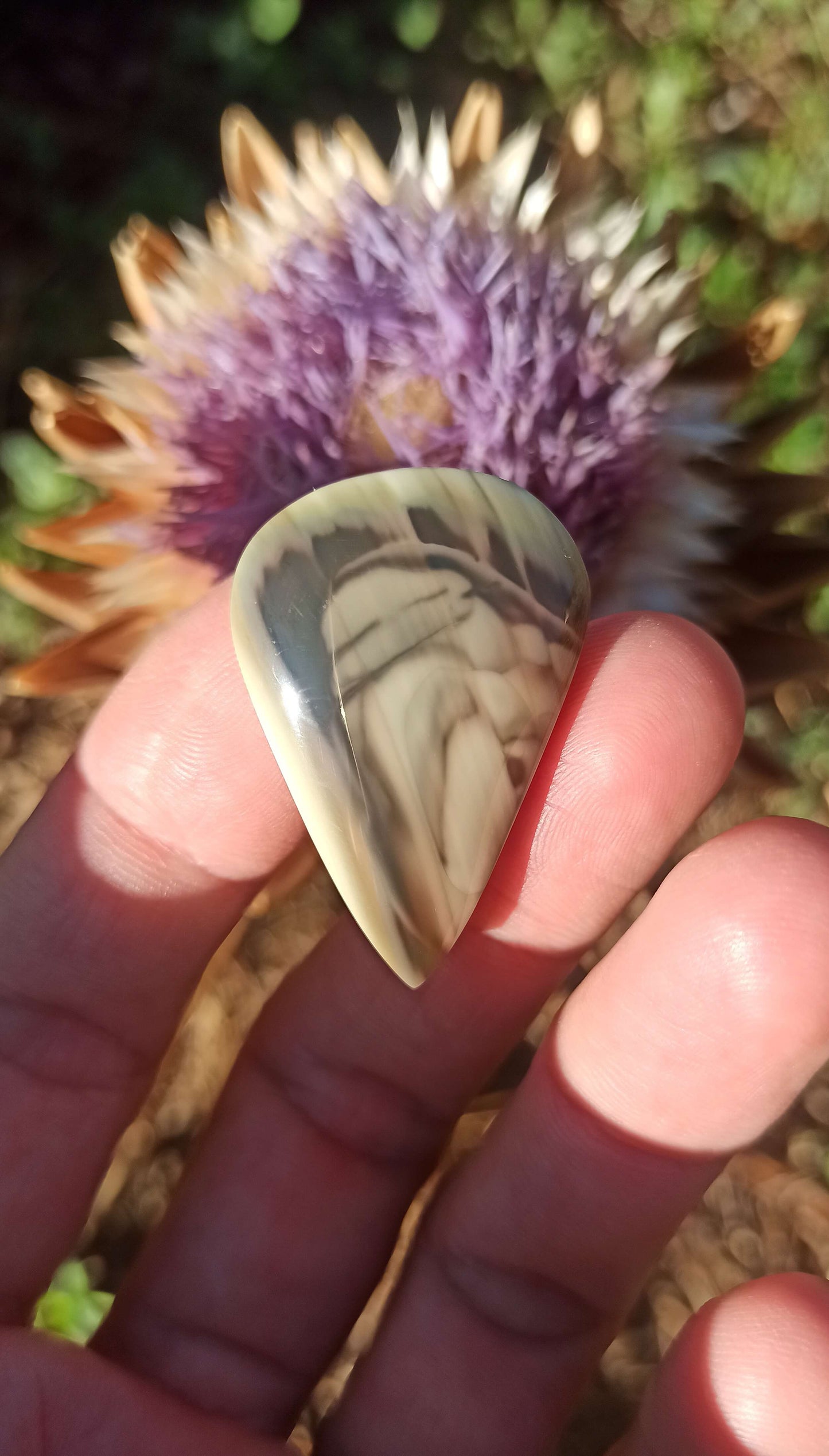 Cabochon Jaspe Royal Impérial ~ Mexique