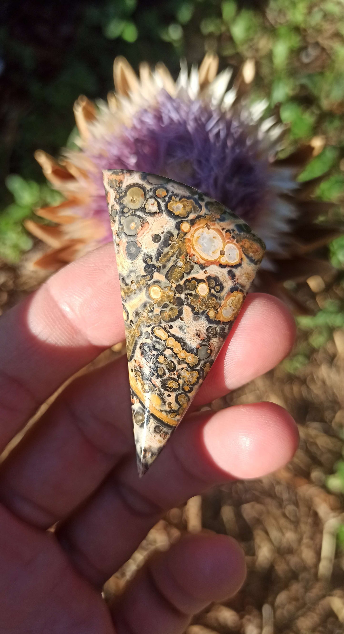 Cabochon Jaspe Léopard ~ Brésil