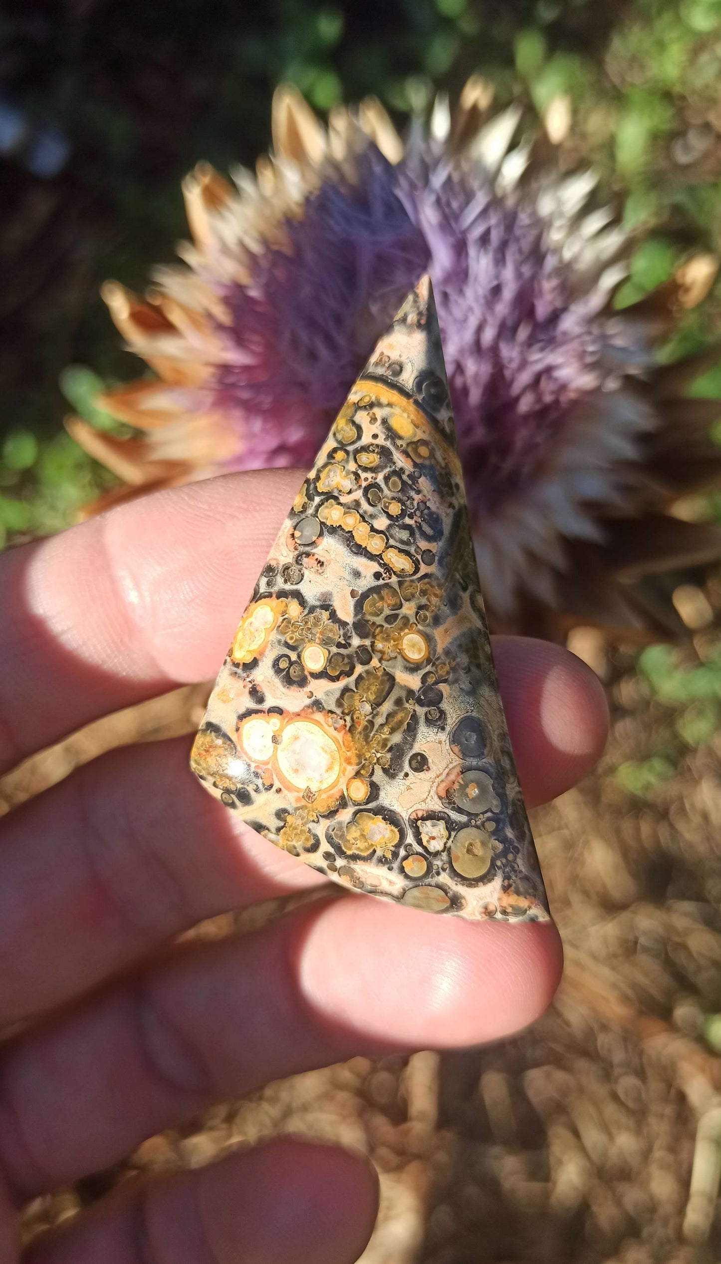 Cabochon Jaspe Léopard ~ Brésil