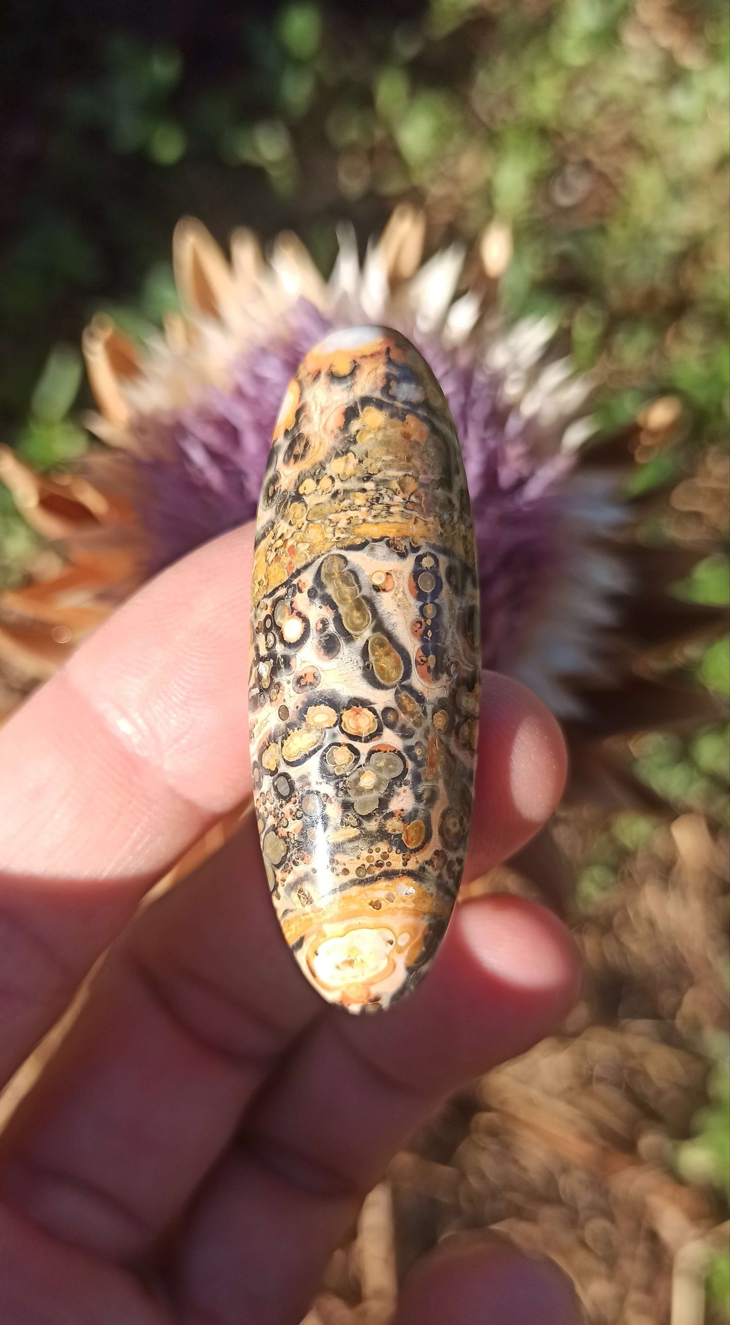 Cabochon Jaspe Léopard ~ Brésil