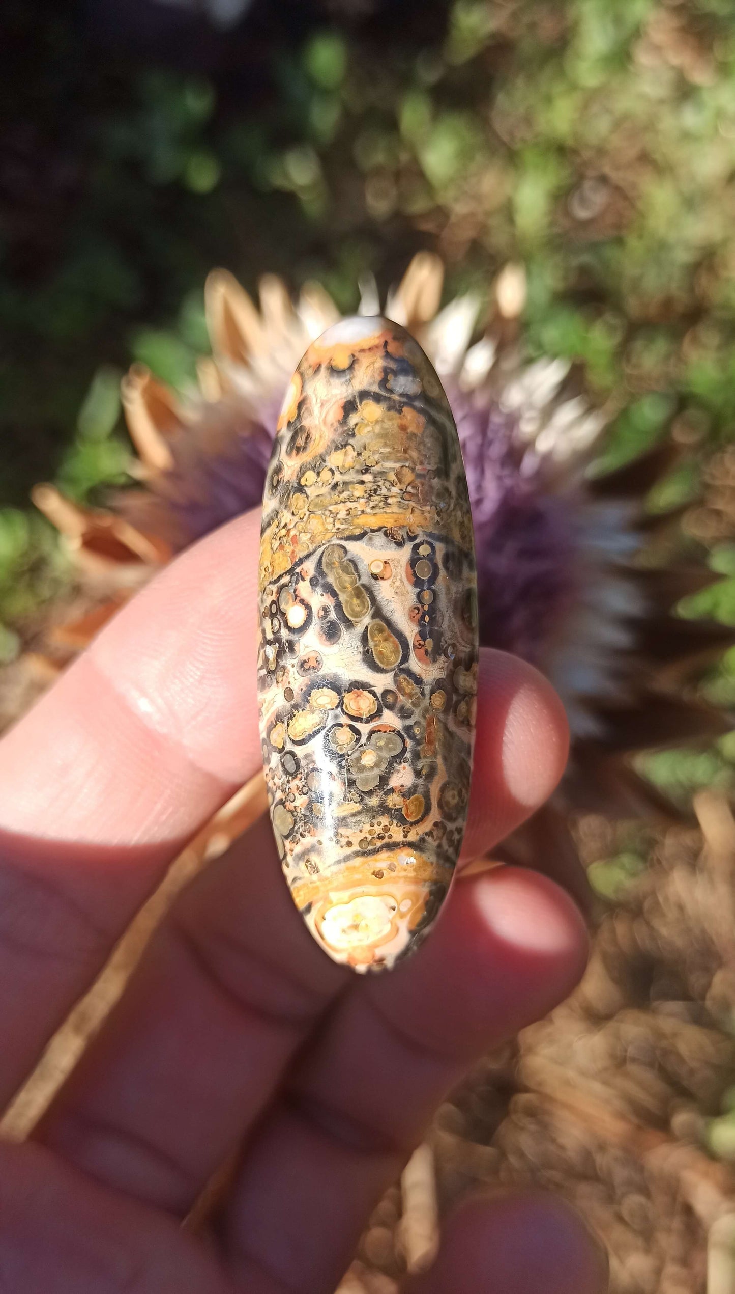Cabochon Jaspe Léopard ~ Brésil