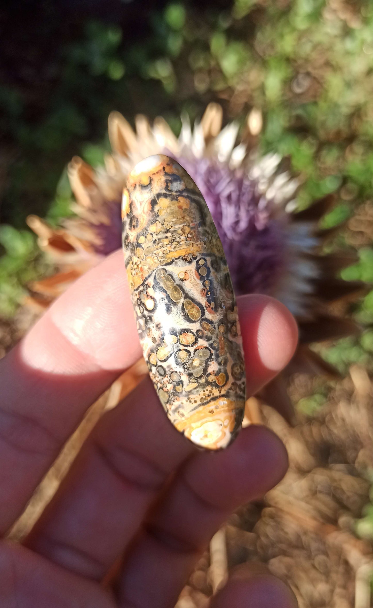 Cabochon Jaspe Léopard ~ Brésil