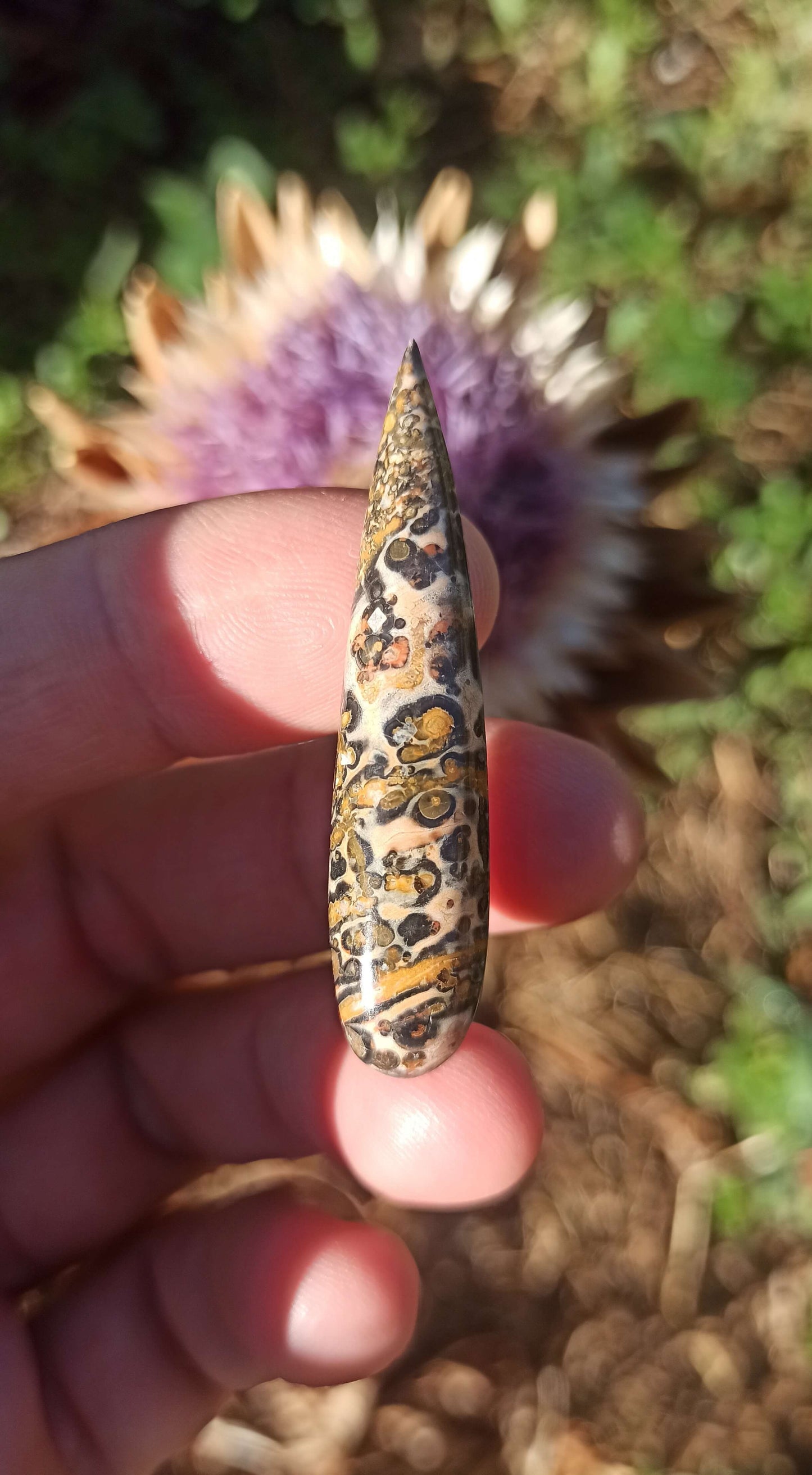 Cabochon Goutte Jaspe Léopard ~ Brésil