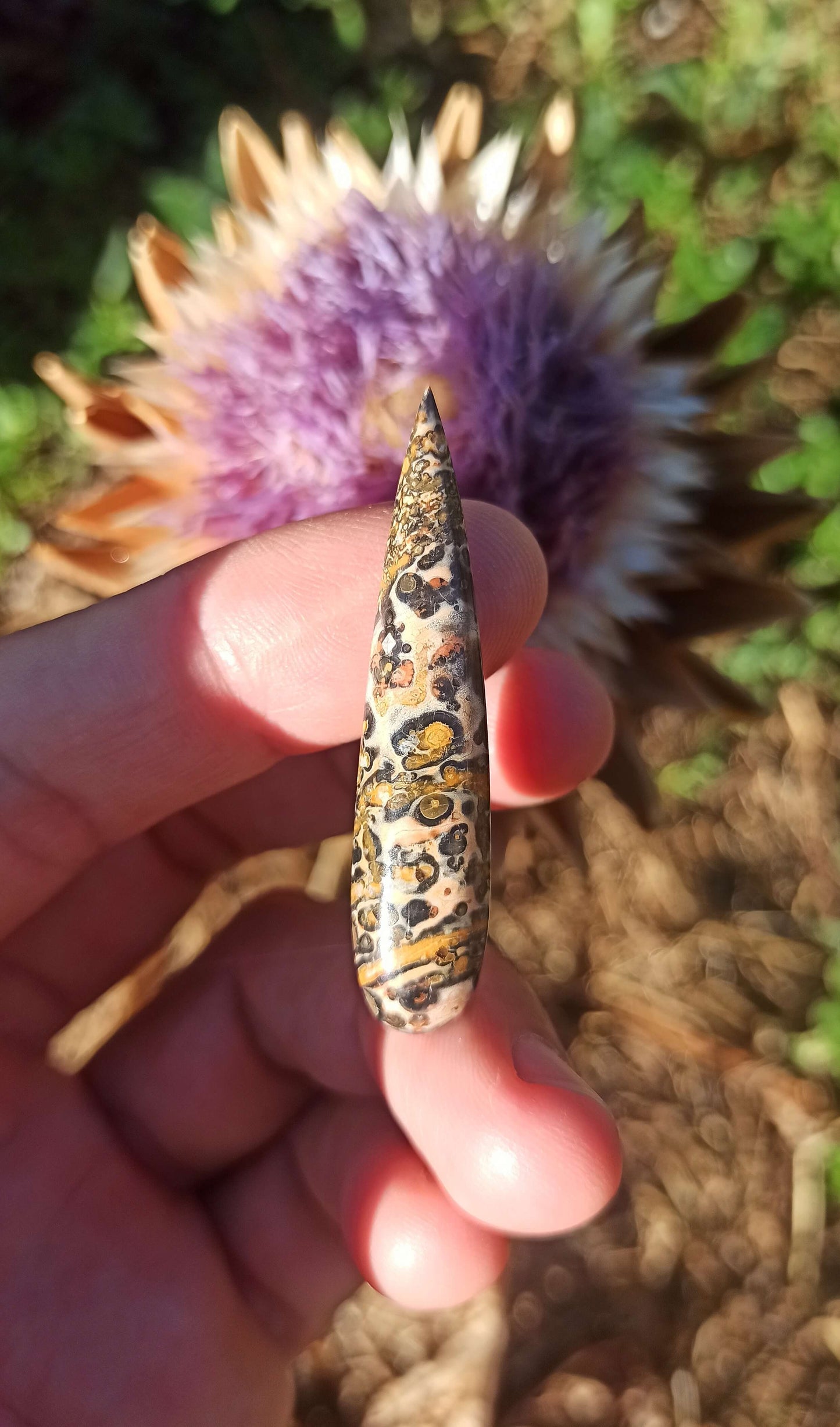 Cabochon Goutte Jaspe Léopard ~ Brésil