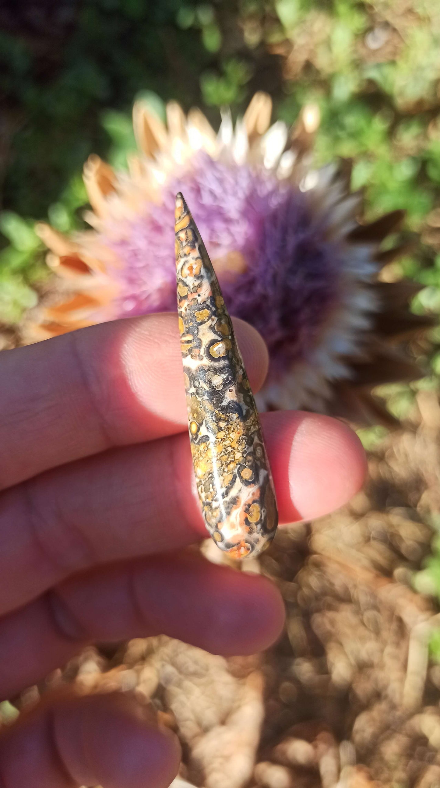 Cabochon Goutte Jaspe Léopard ~ Brésil
