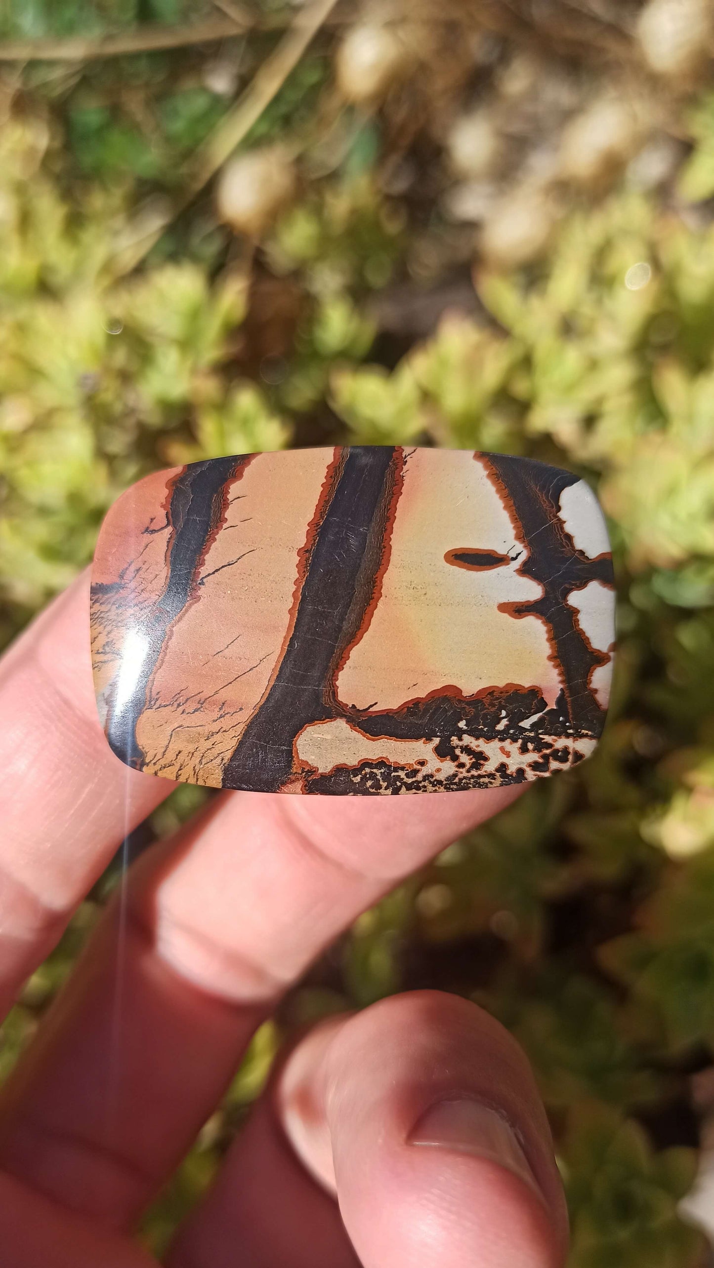 Cabochon Indian Painting stone ~ USA