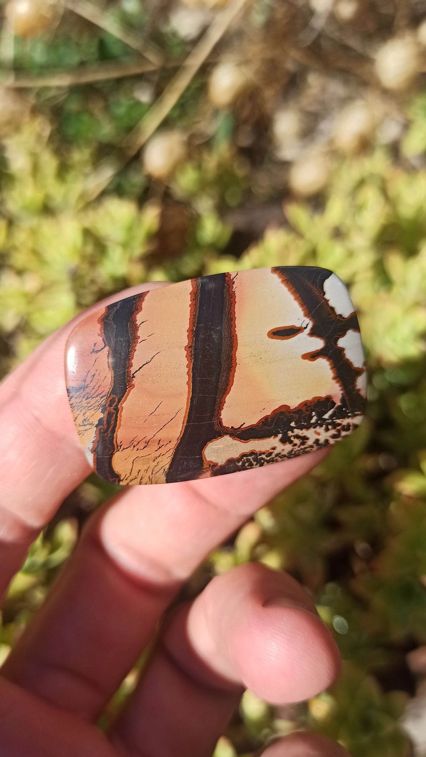 Cabochon Indian Painting stone ~ USA