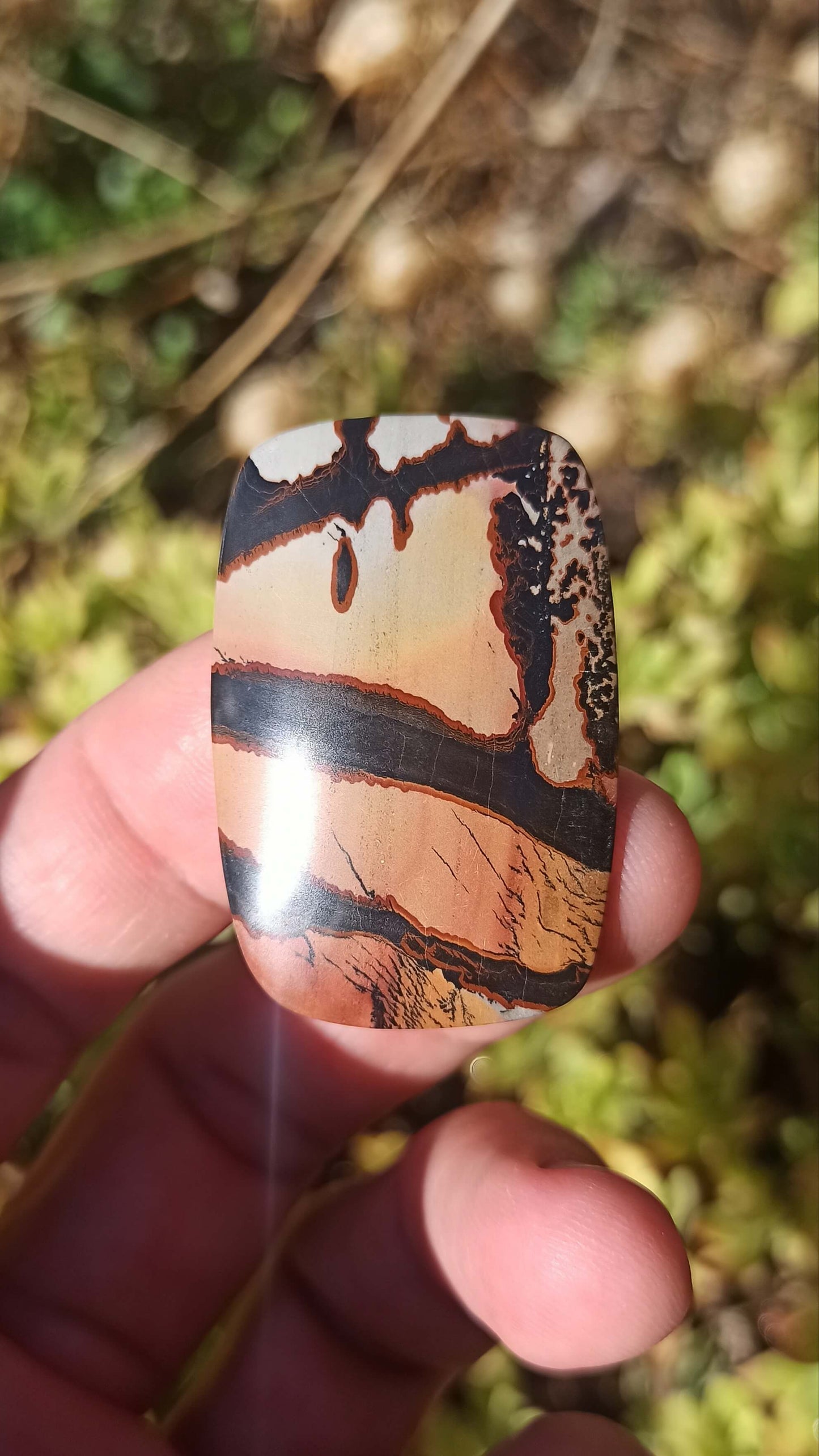 Cabochon Indian Painting stone ~ USA