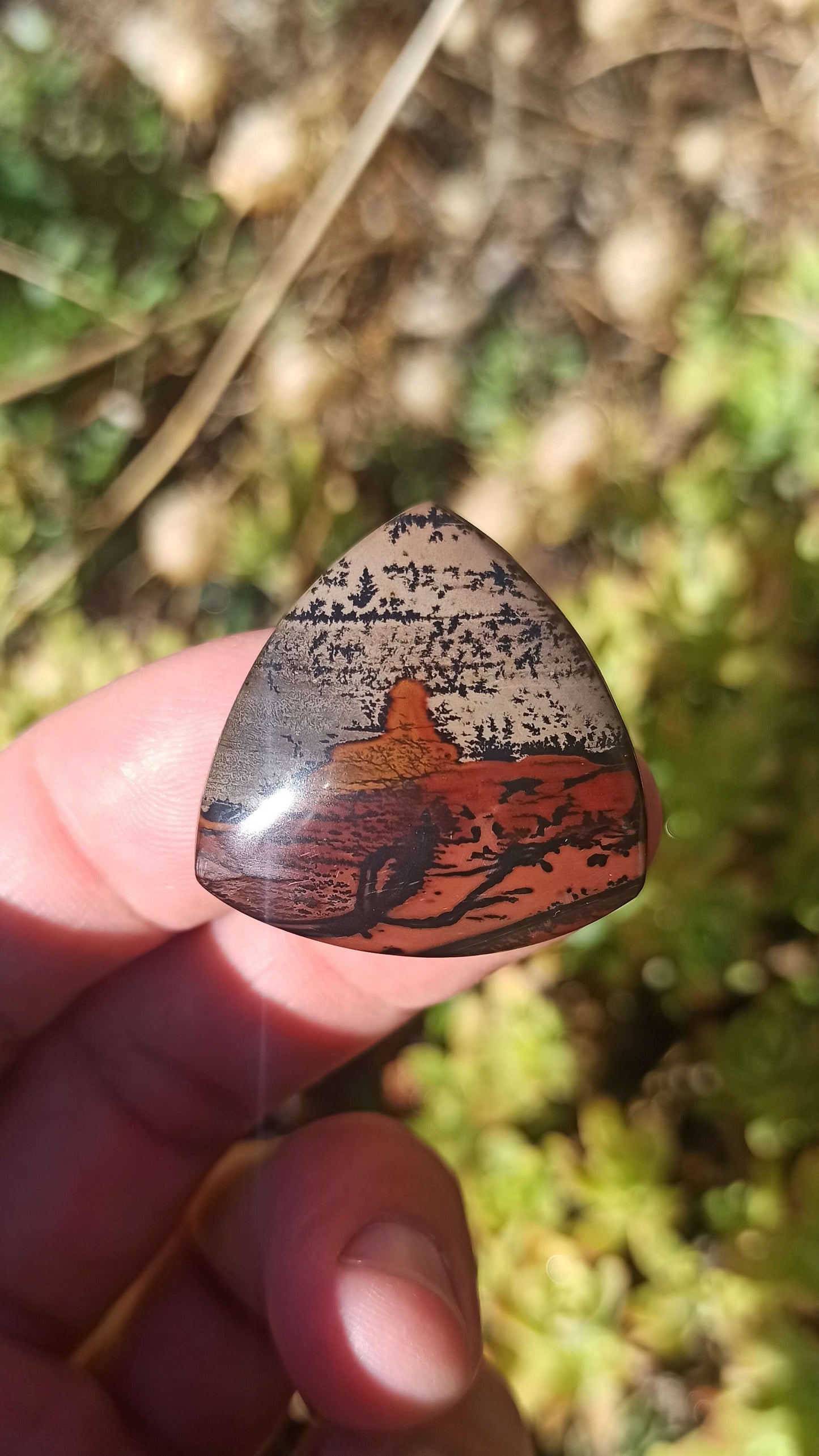Cabochon Indian Painting stone ~ USA