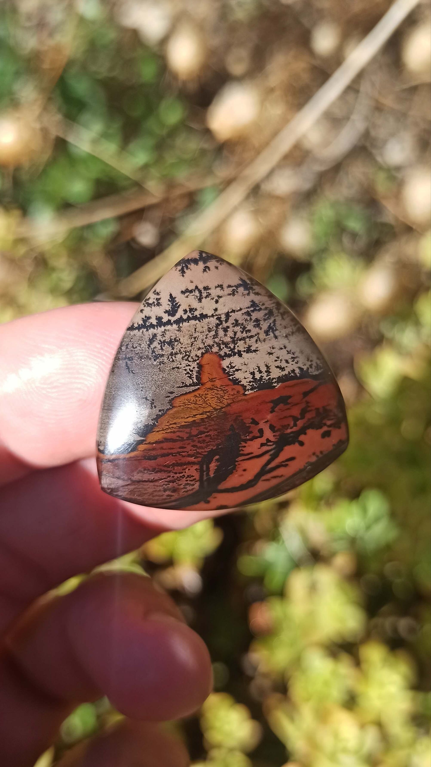 Cabochon Indian Painting stone ~ USA