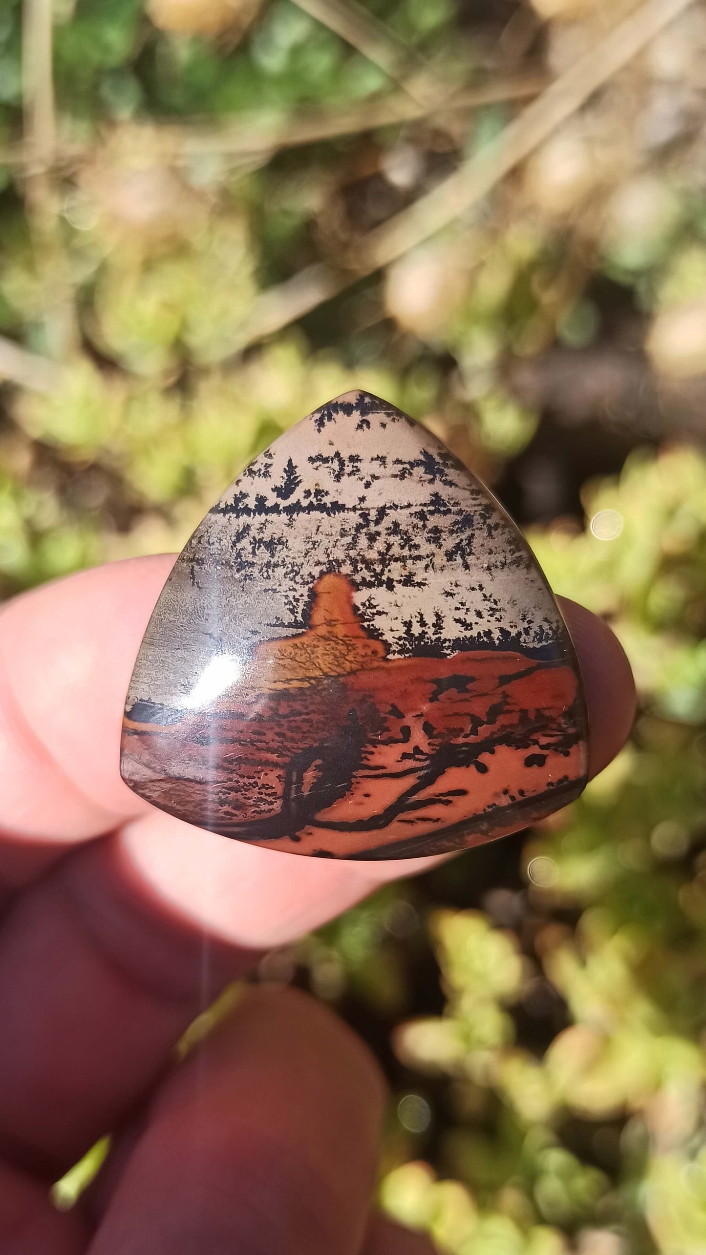 Cabochon Indian Painting stone ~ USA
