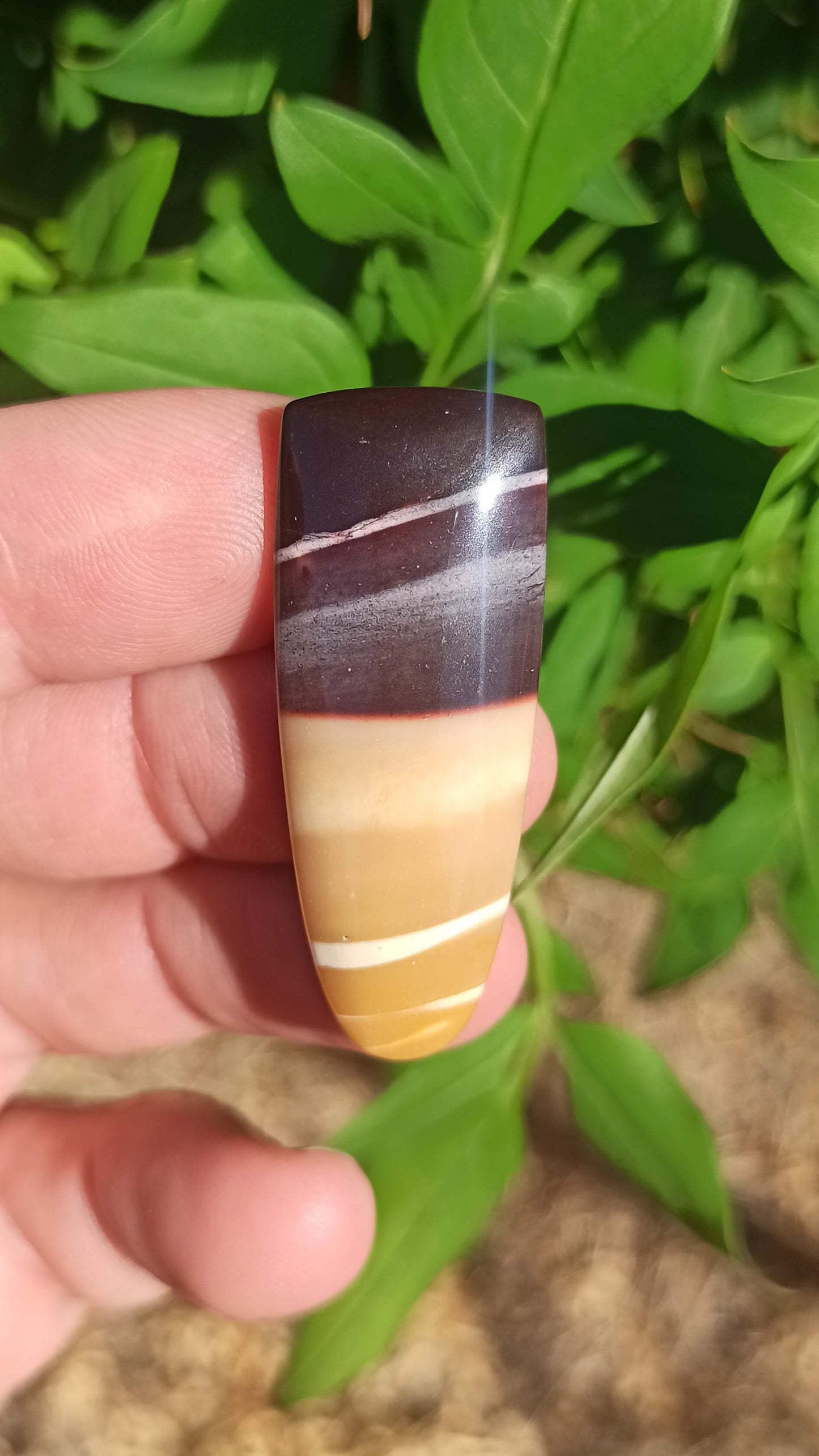 Jaspe Mookaite ~ Australie 🇦🇺