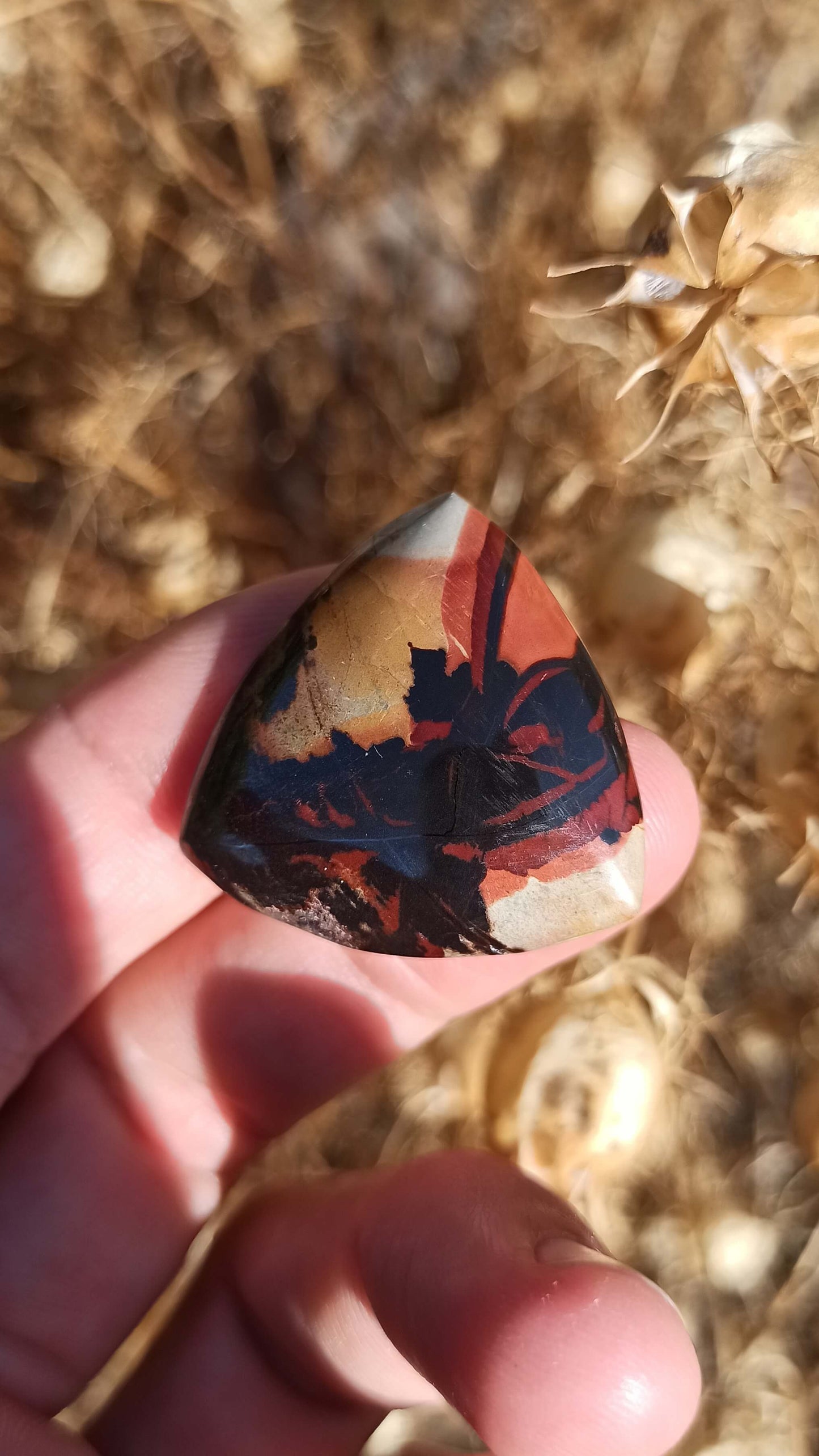 Cabochon Indian Painting stone ~ USA