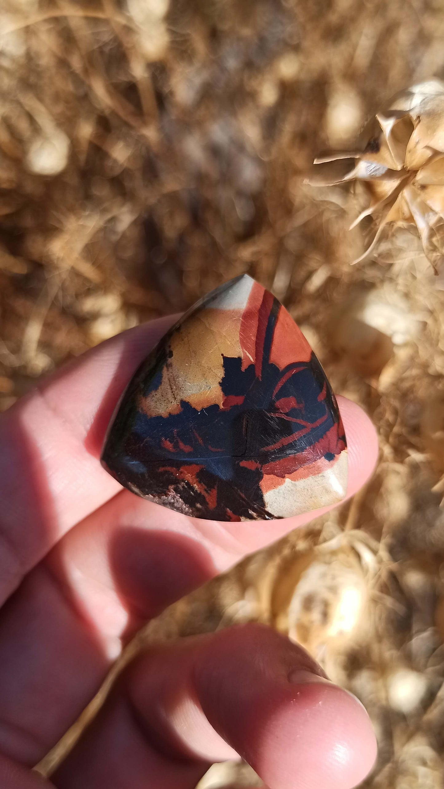 Cabochon Indian Painting stone ~ USA