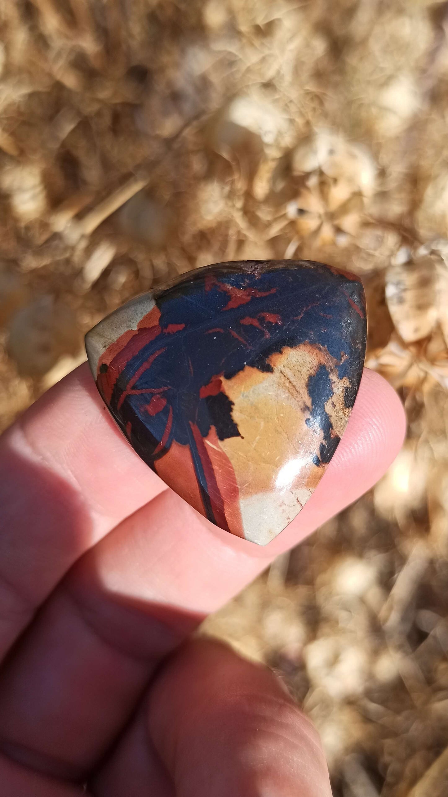 Cabochon Indian Painting stone ~ USA