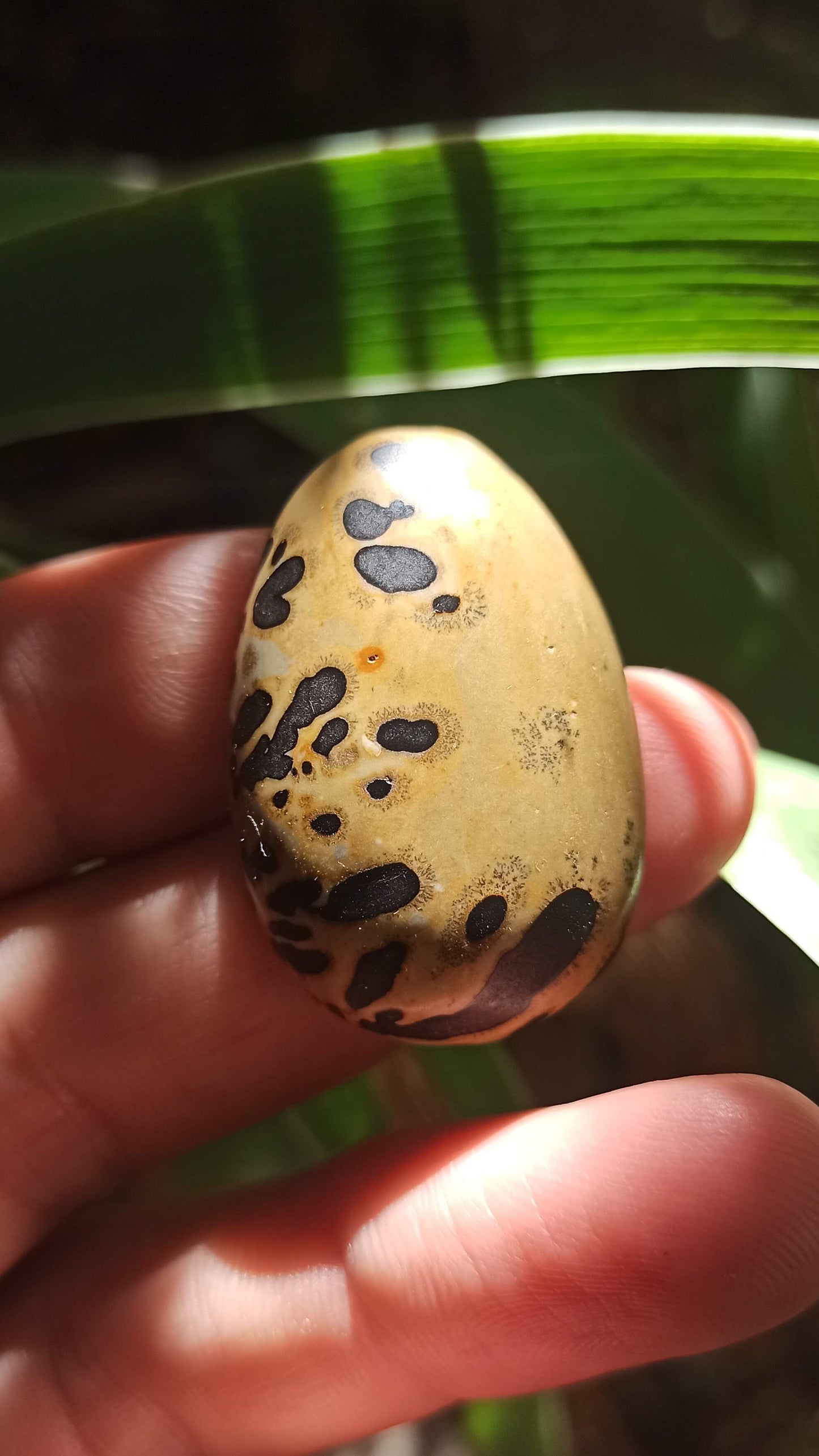 Cabochon Jaspe Chohua ~ Chine 🇨🇳