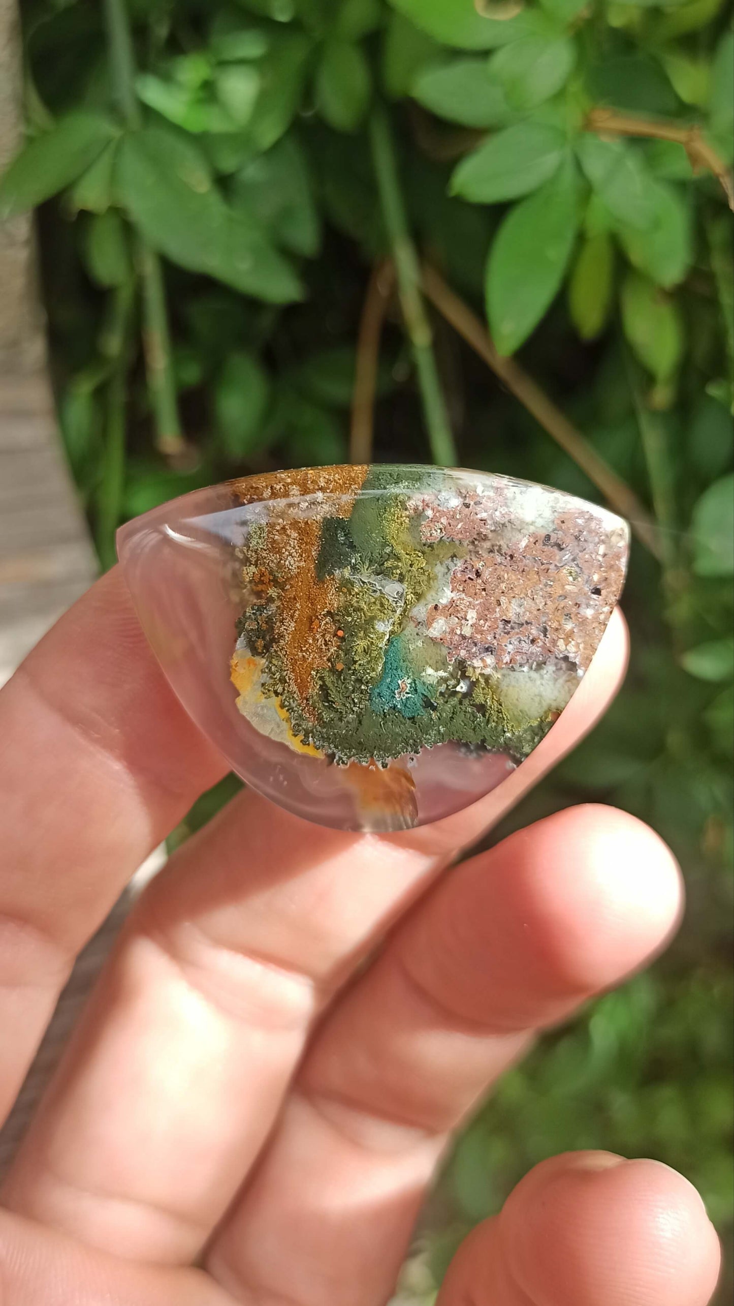 Cabochon Agate Mousse ~ Indonésie 🌴