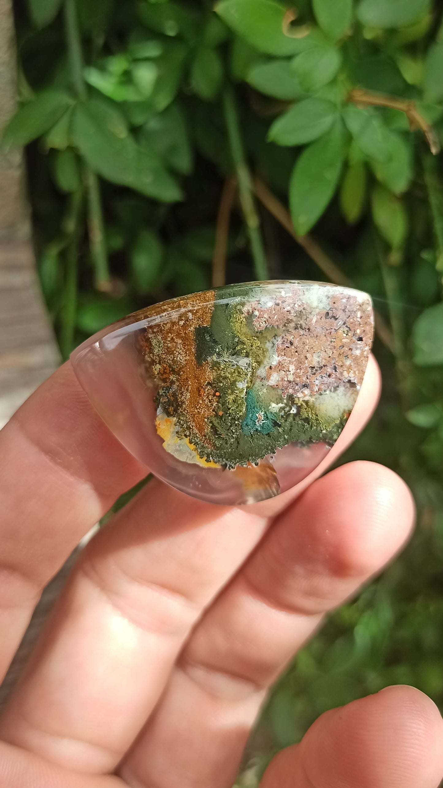 Cabochon Agate Mousse ~ Indonésie 🌴