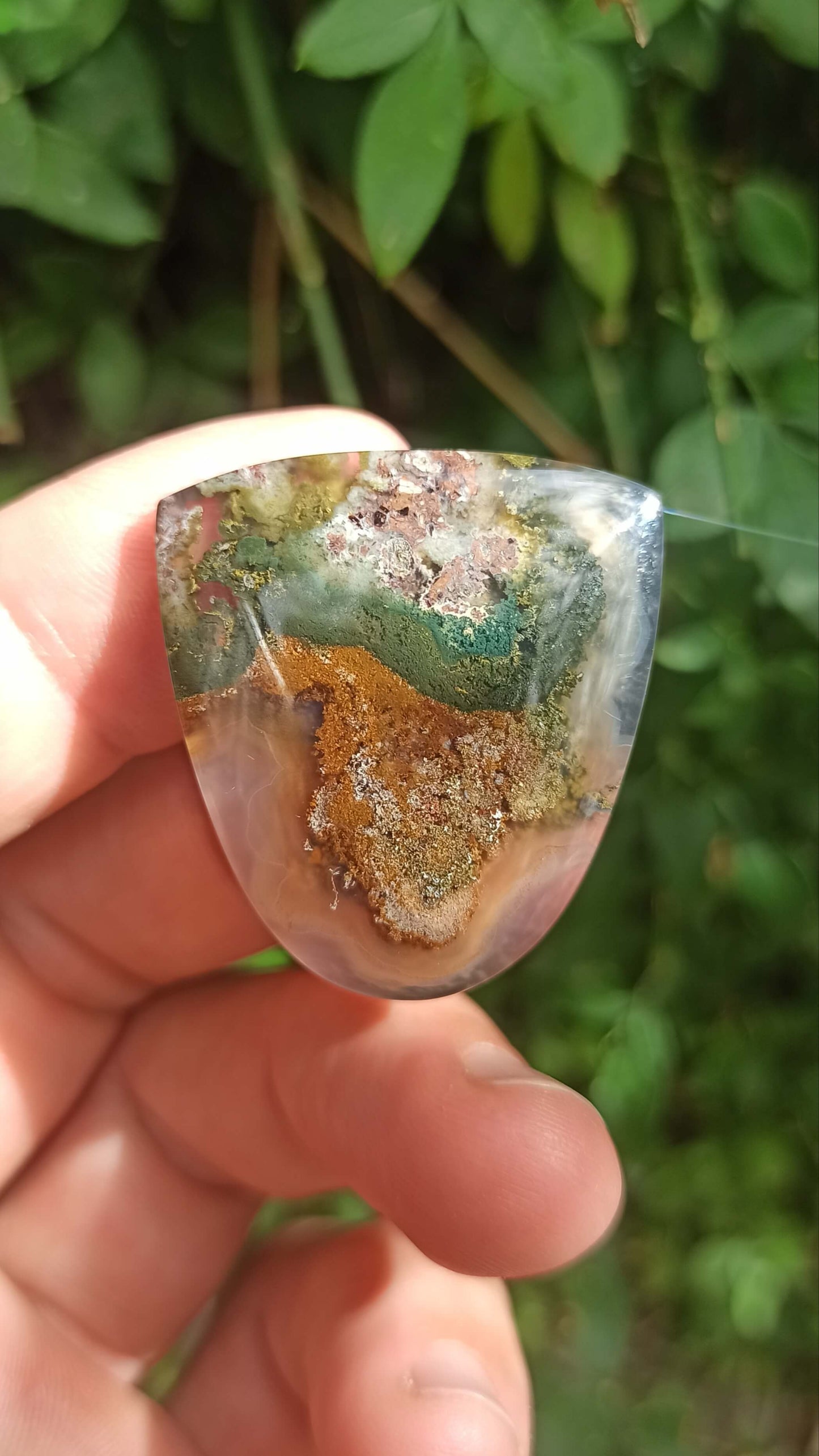 Cabochon Agate Mousse ~ Indonésie 🌴