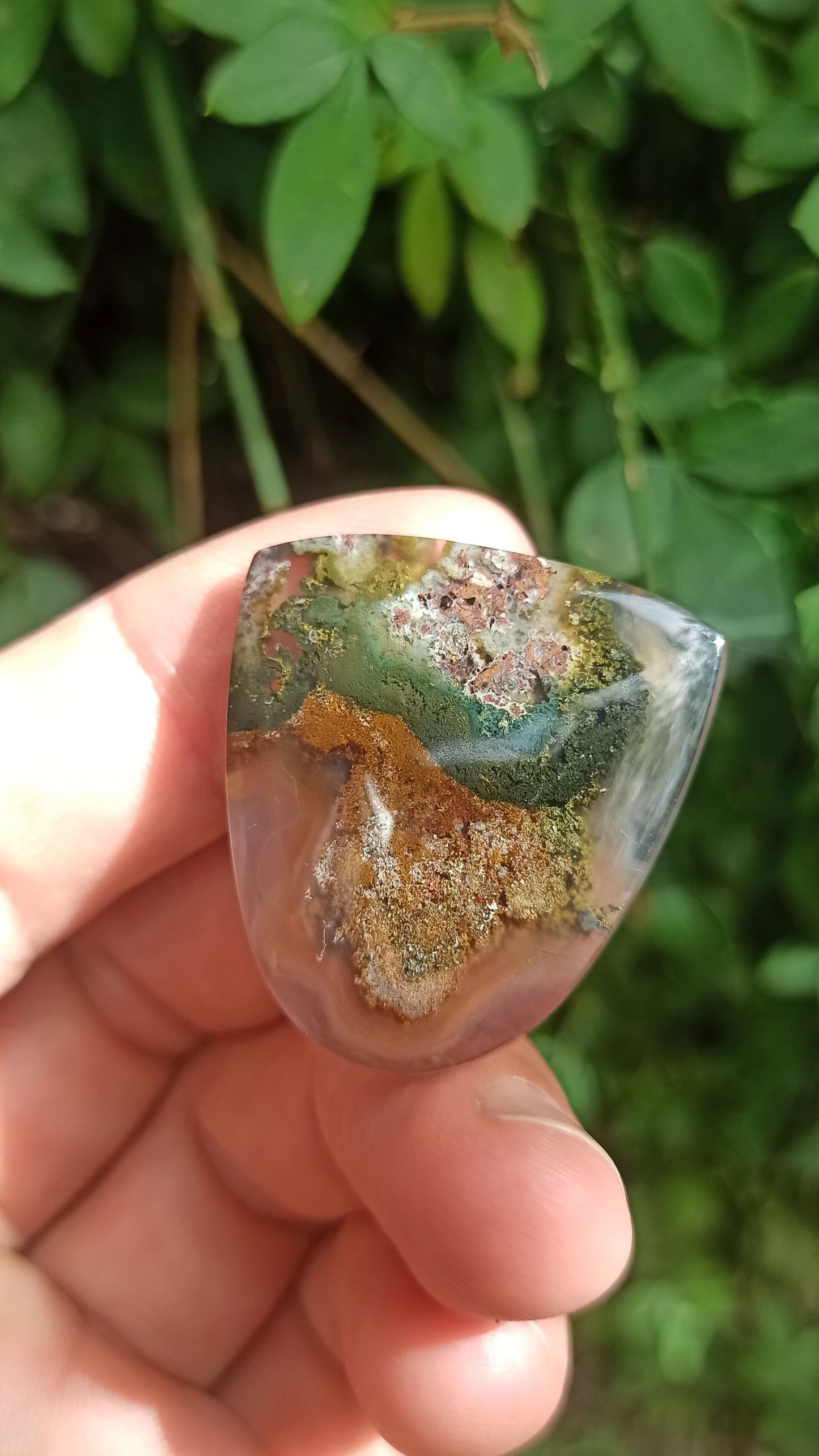 Cabochon Agate Mousse ~ Indonésie 🌴