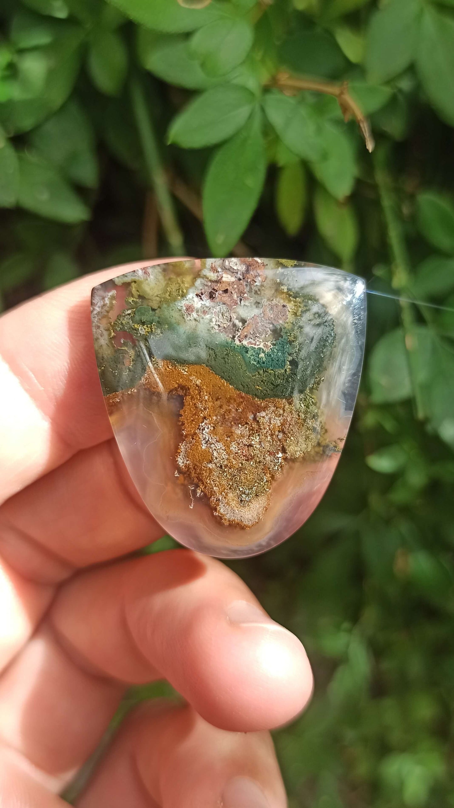 Cabochon Agate Mousse ~ Indonésie 🌴