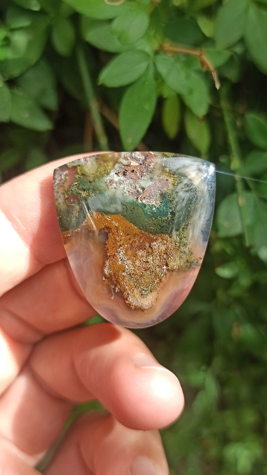 Cabochon Agate Mousse ~ Indonésie 🌴
