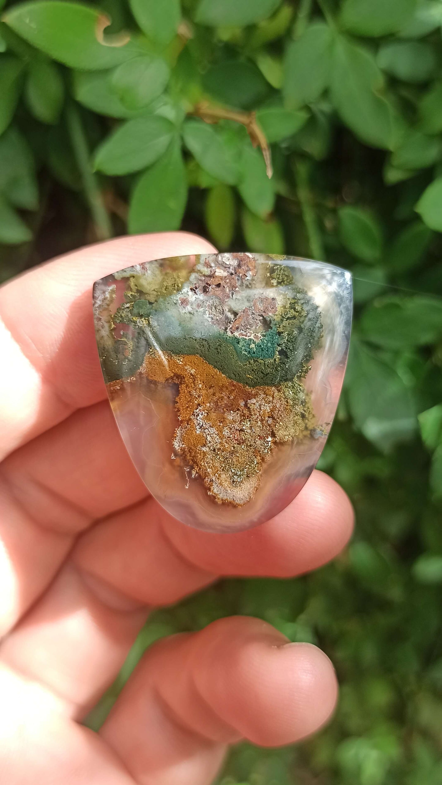 Cabochon Agate Mousse ~ Indonésie 🌴