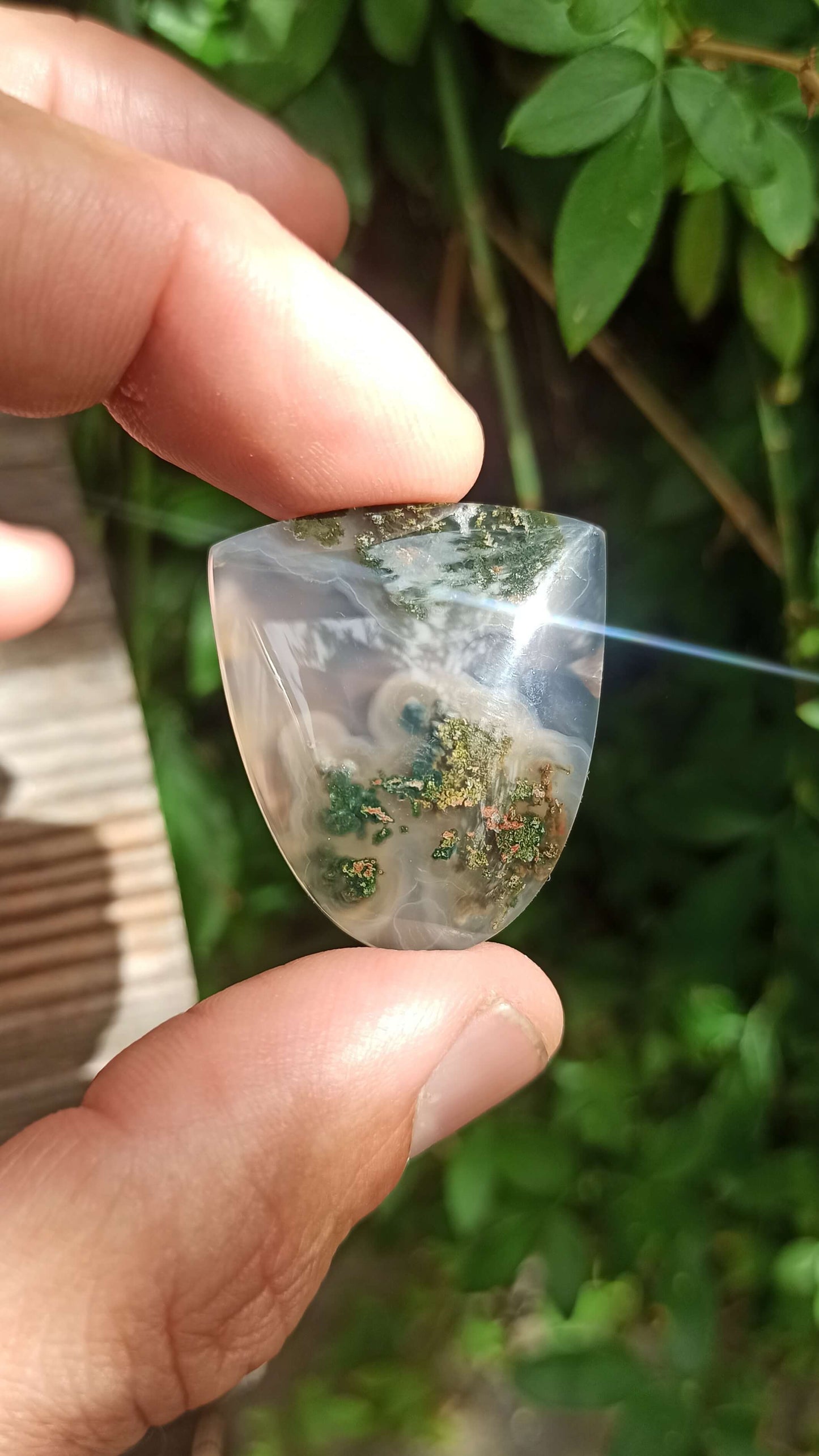 Cabochon Agate Mousse ~ Indonésie 🌴