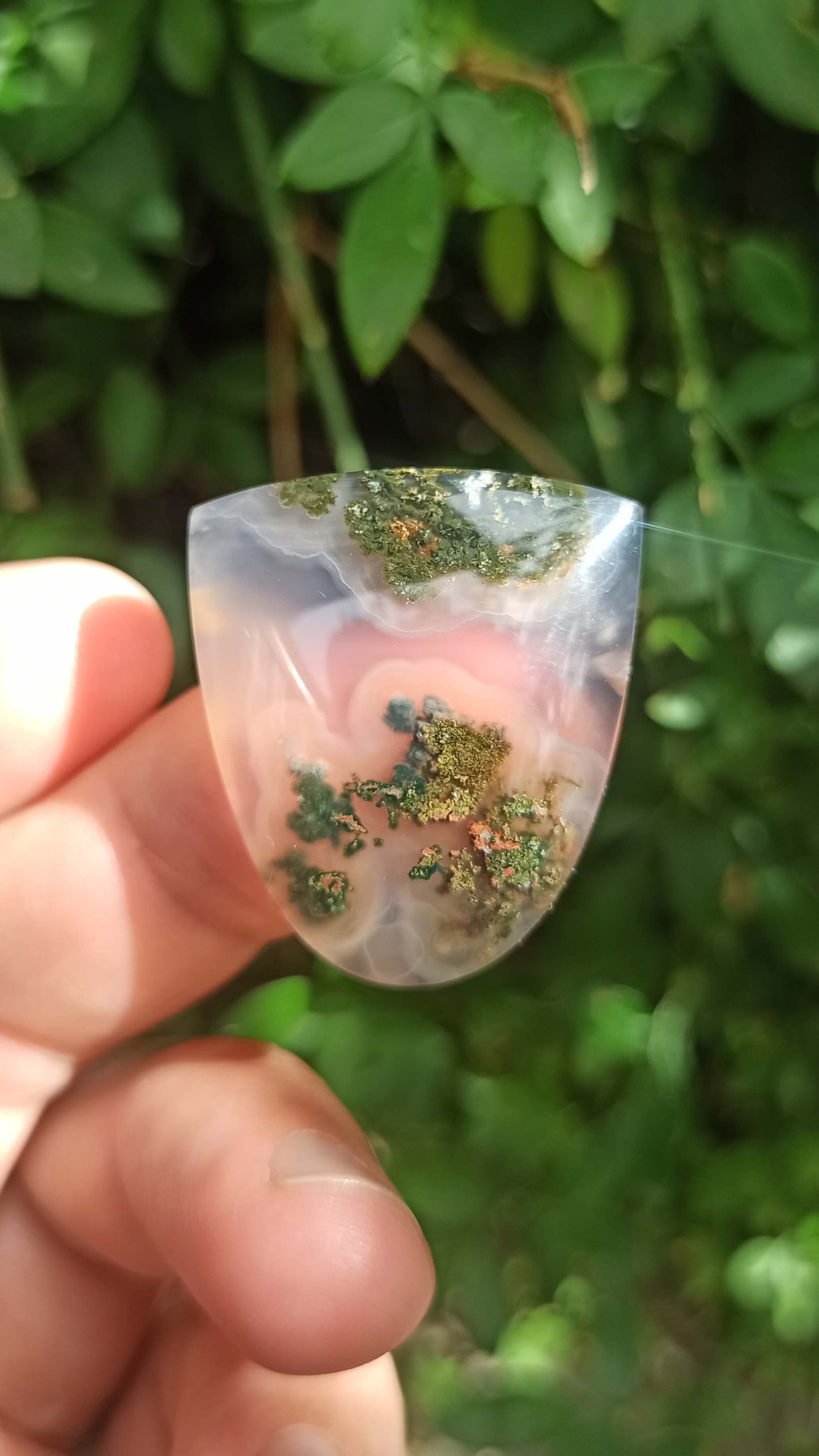 Cabochon Agate Mousse ~ Indonésie 🌴