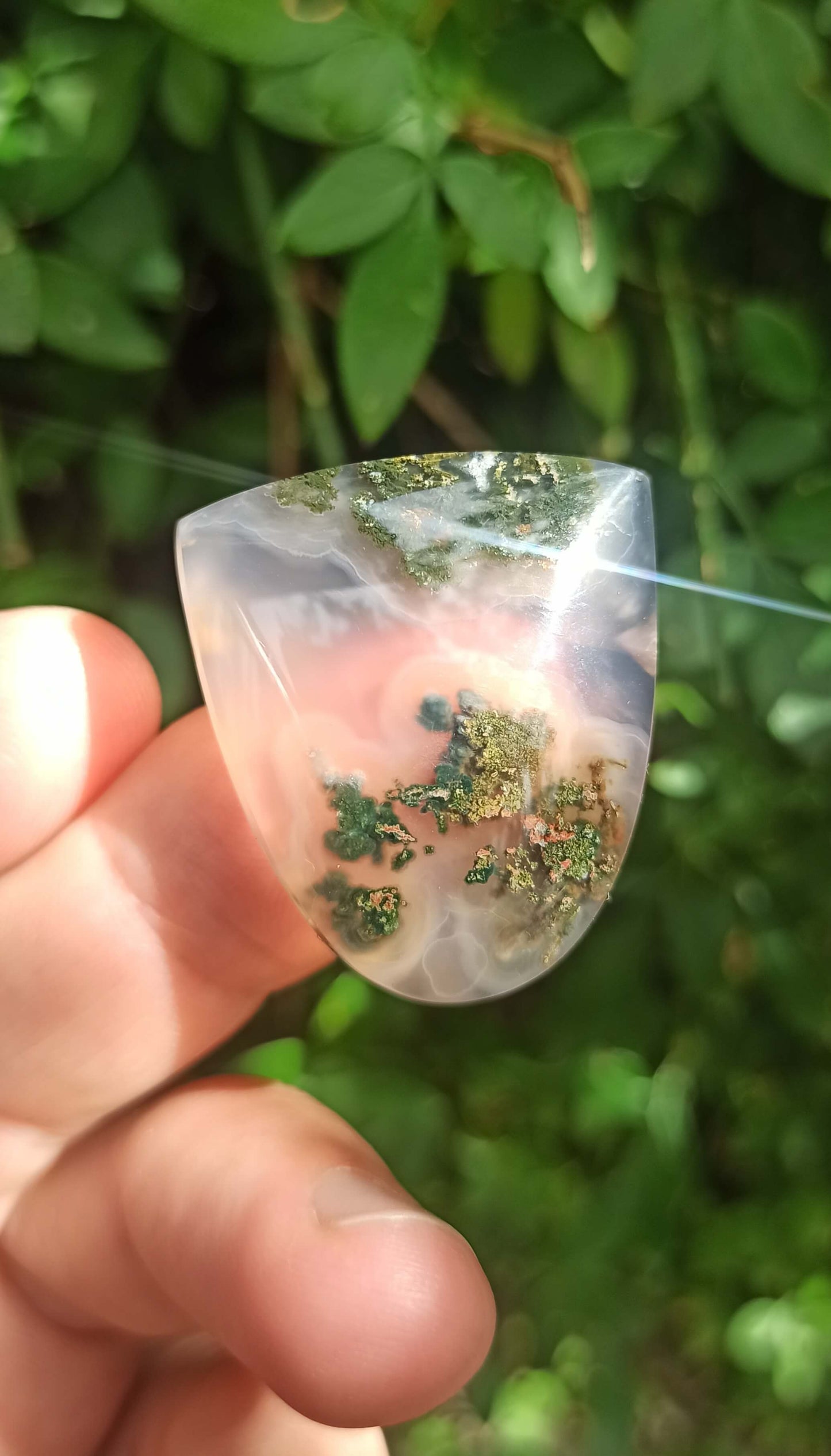 Cabochon Agate Mousse ~ Indonésie 🌴