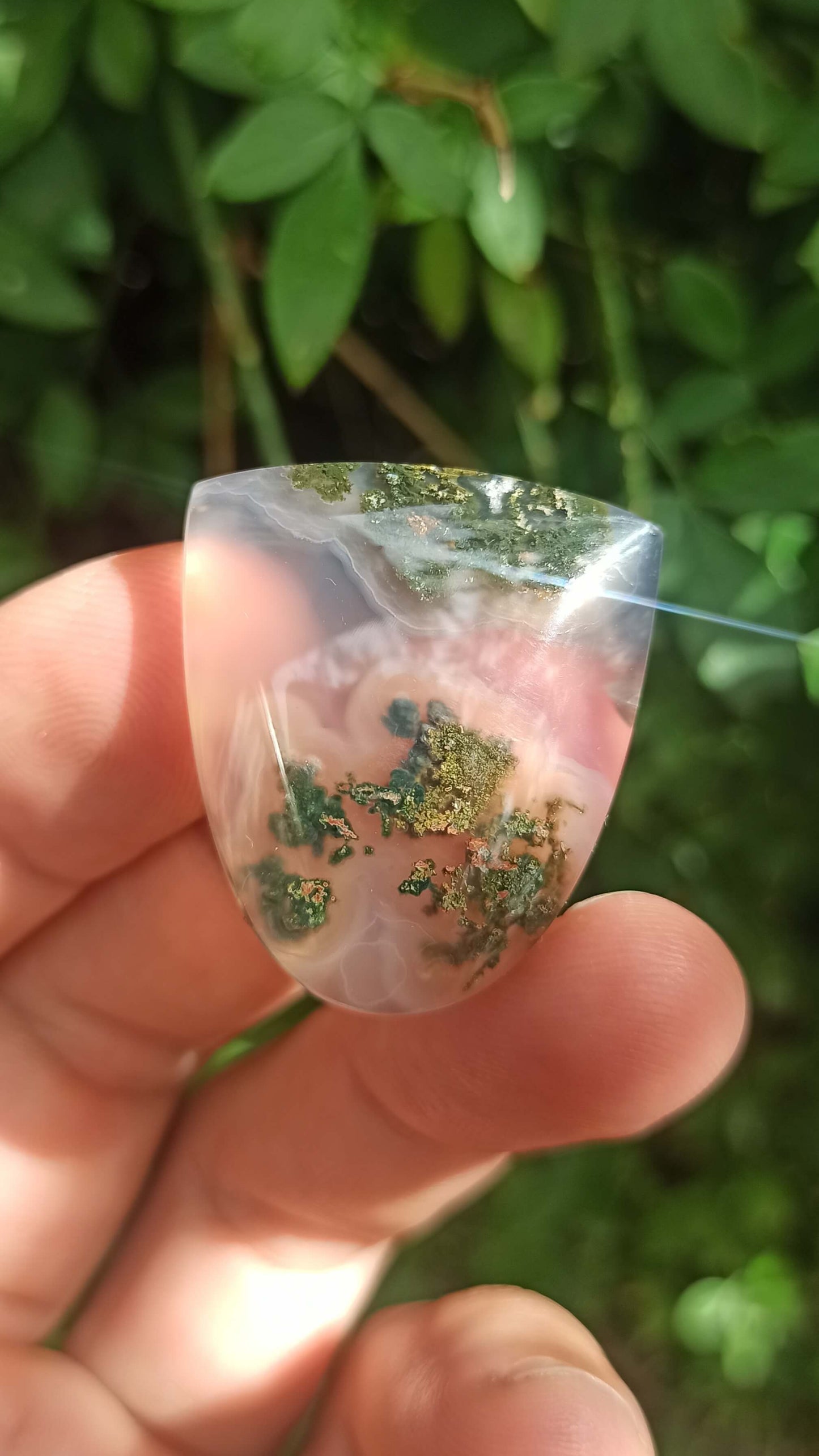 Cabochon Agate Mousse ~ Indonésie 🌴