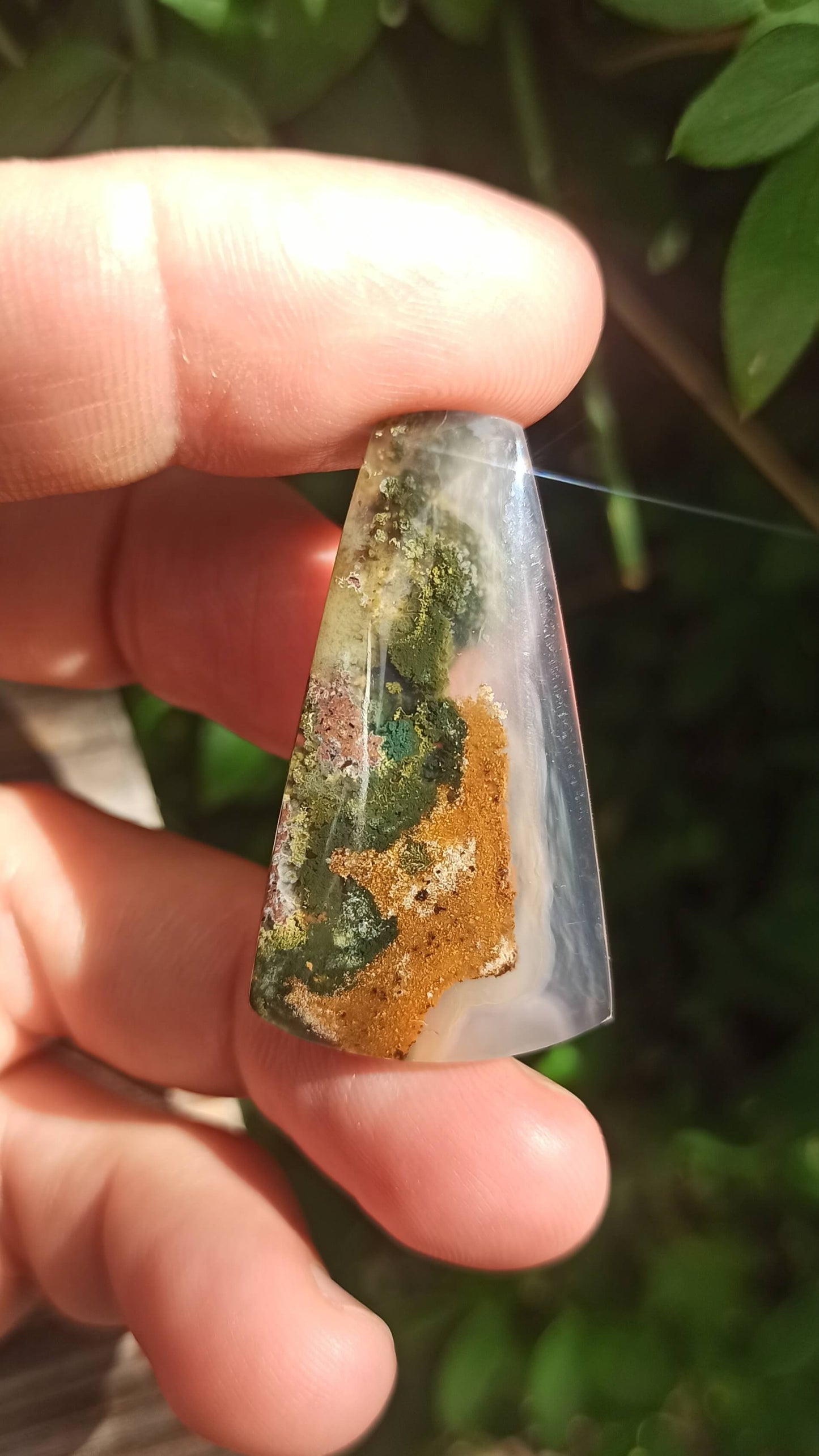 Cabochon Agate Mousse ~ Indonésie 🌴