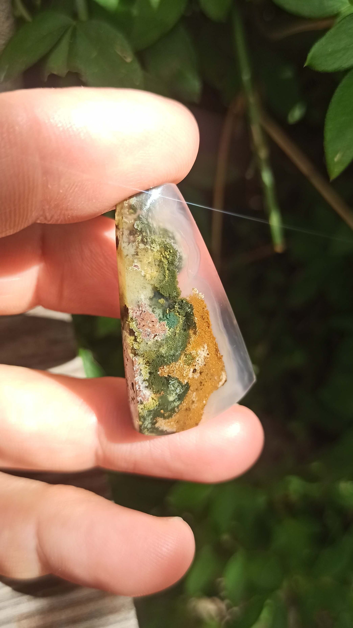 Cabochon Agate Mousse ~ Indonésie 🌴